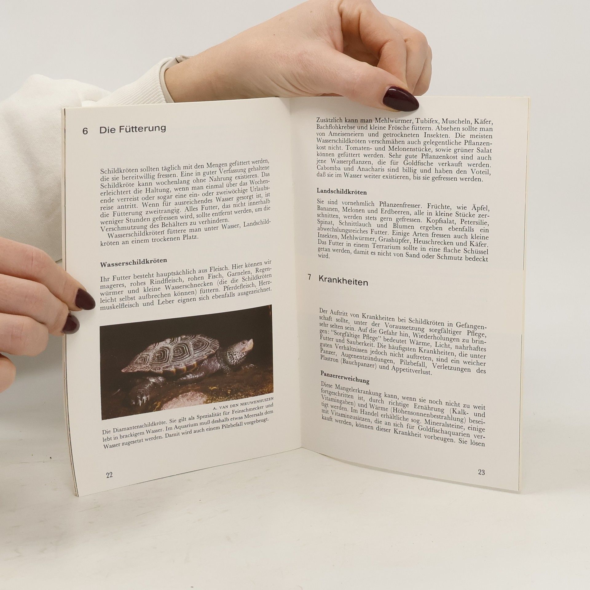 Autores varios Freude an Schildkröten