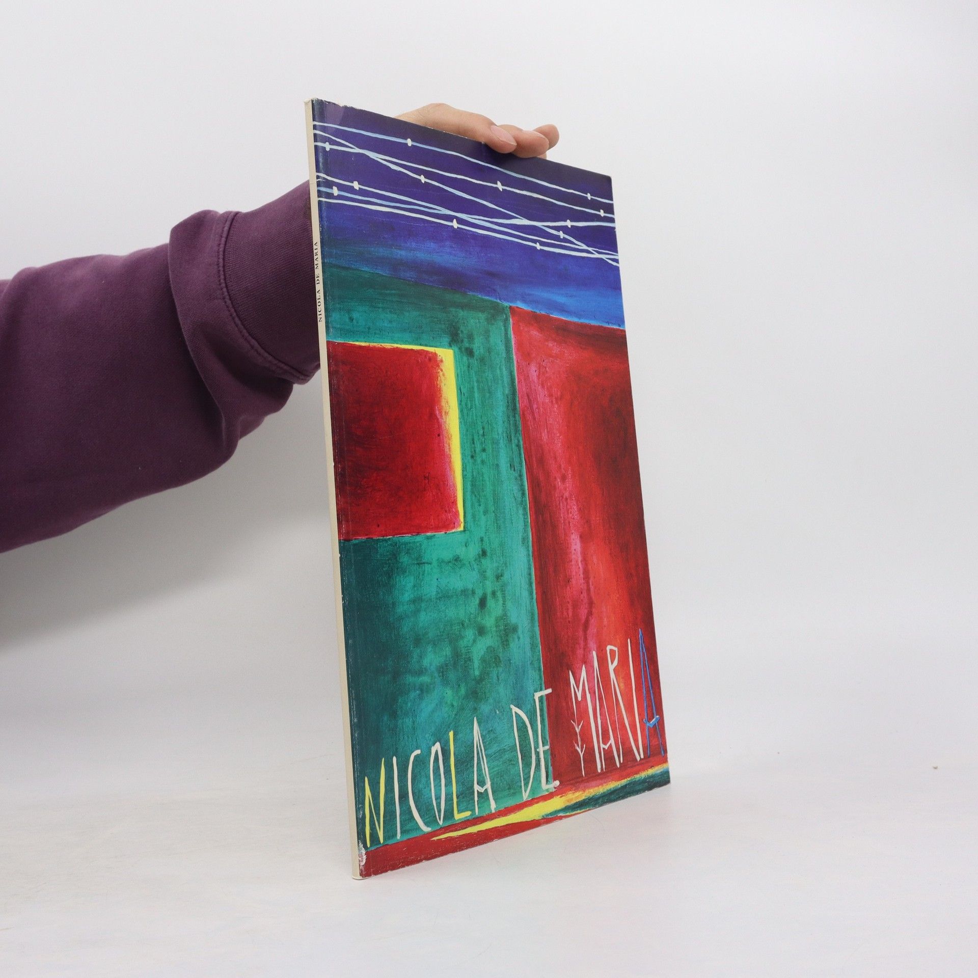 Auteurscollectief Nicola de Maria