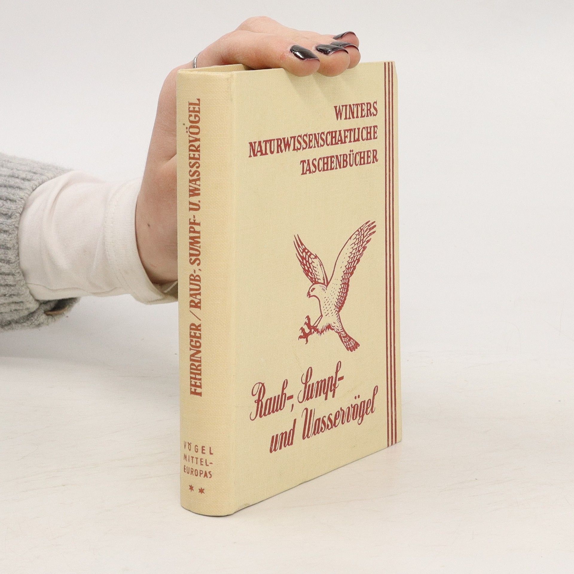 Collectif d'auteurs Raub-, Sumpf- und Wasservögel