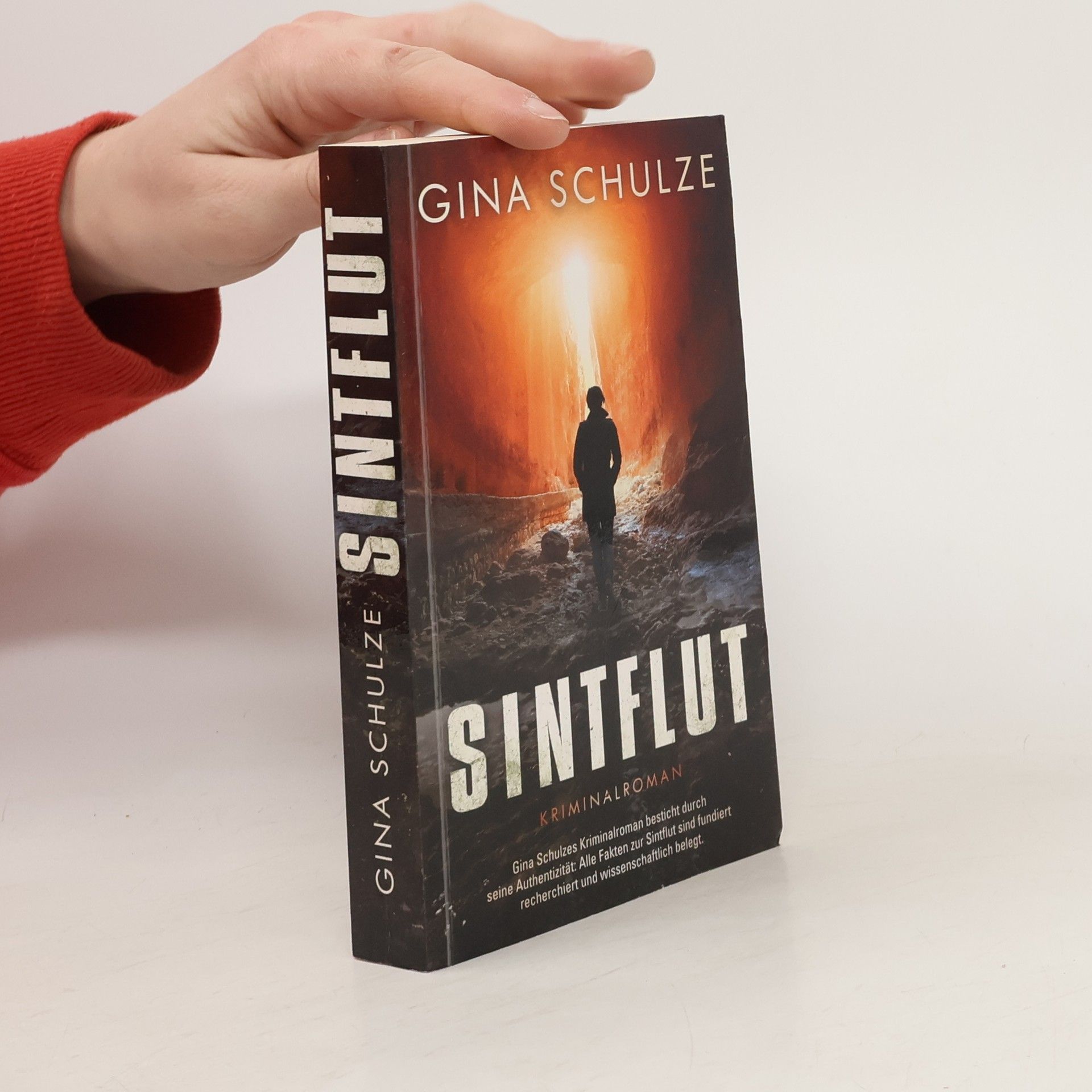 Gina Schulze Sintflut