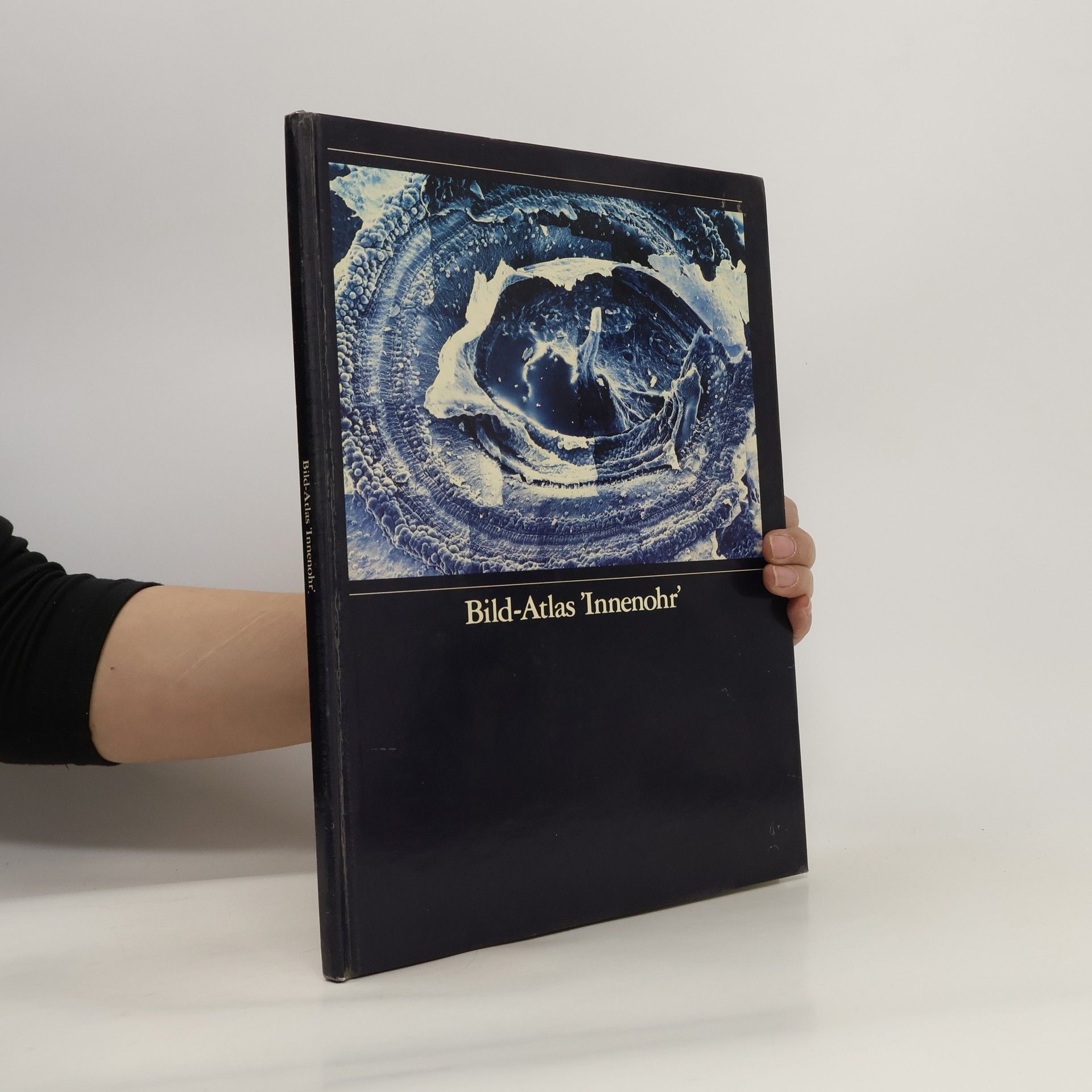kolektiv Bild-Atlas Innenohr