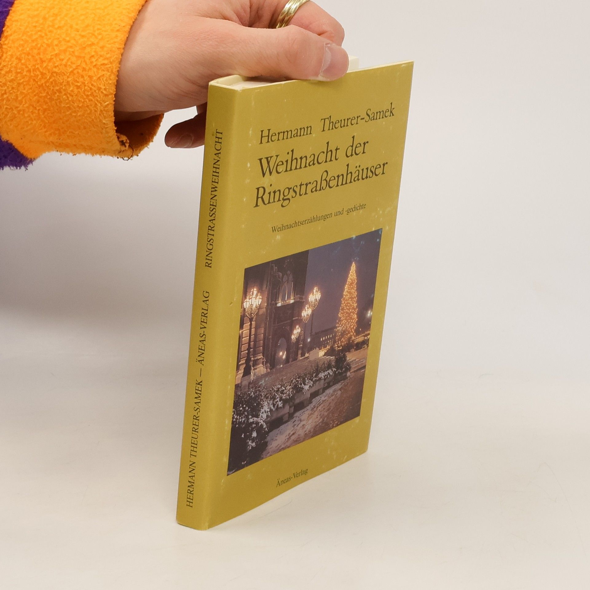 Weihnacht der Ringstrassenhäuser