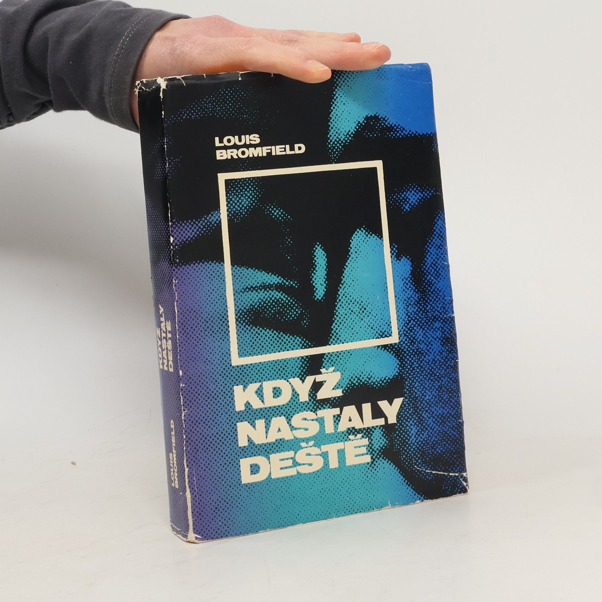 Louis Bromfield Když nastaly deště