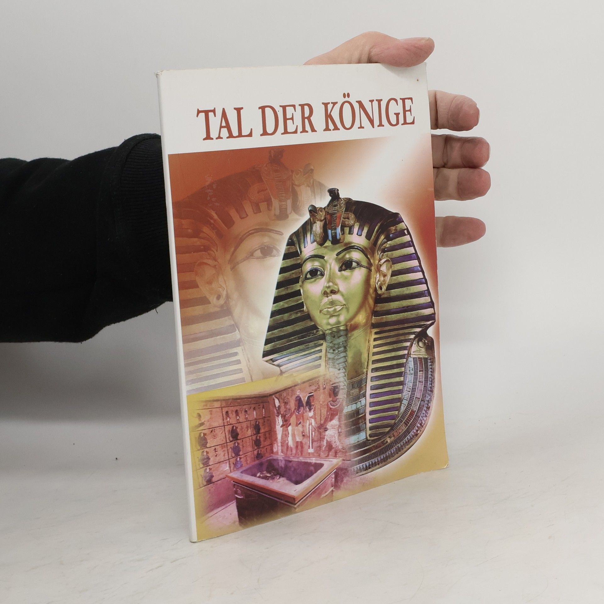 Collectif d'auteurs Tal der Könige