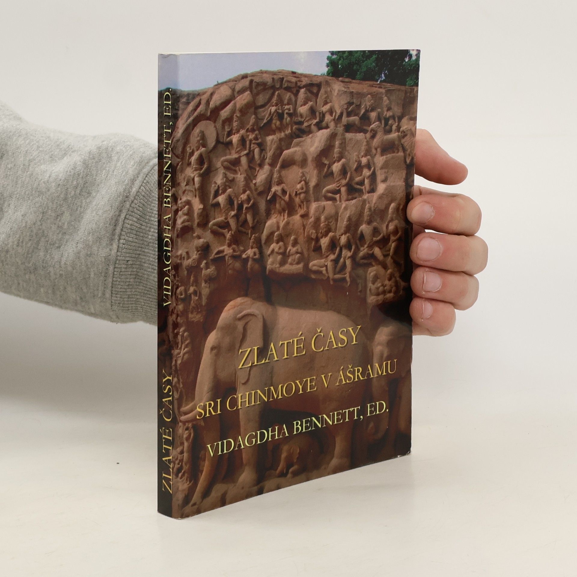 Vidagdha Bennett Zlaté časy