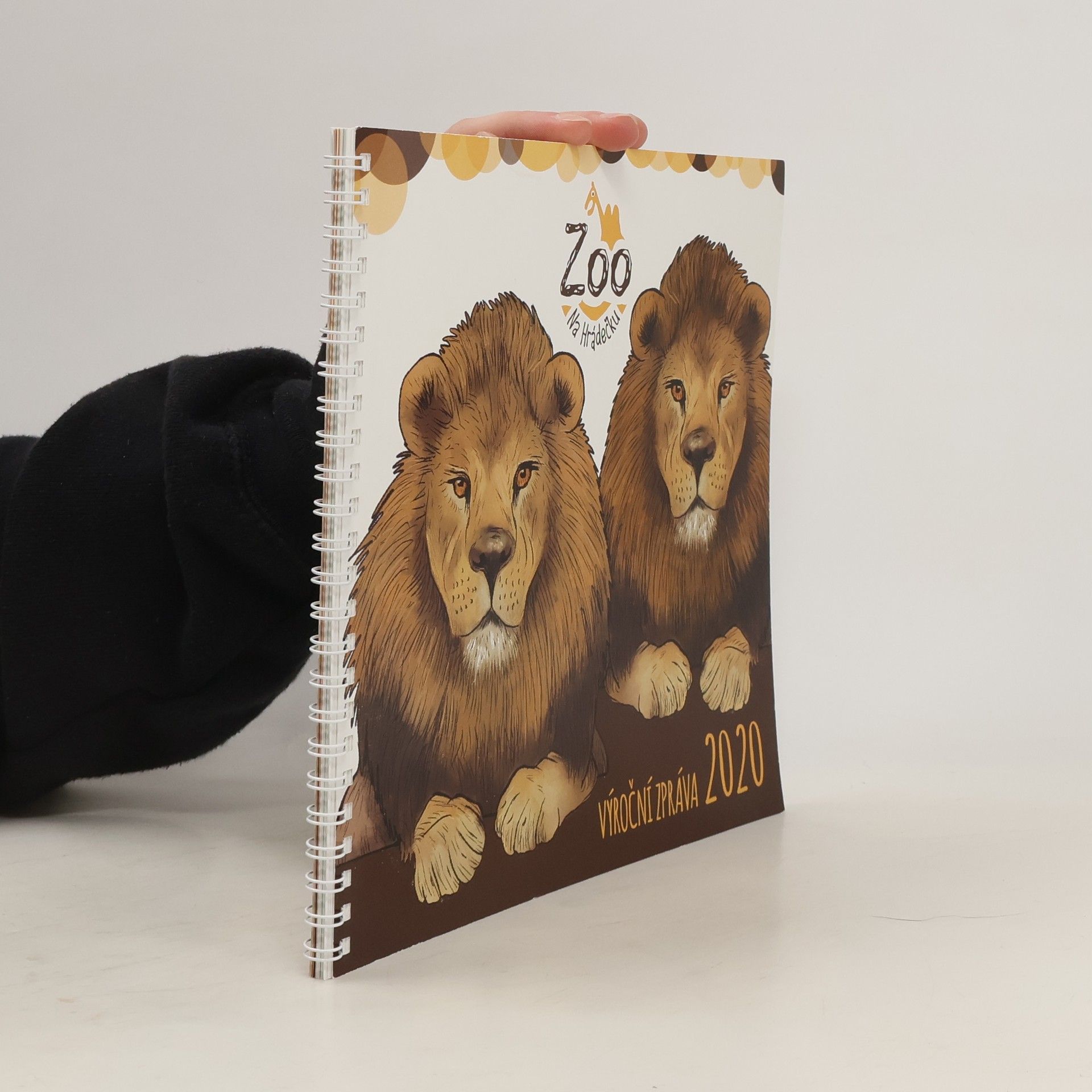 Auteurscollectief Výroční zpráva 2020