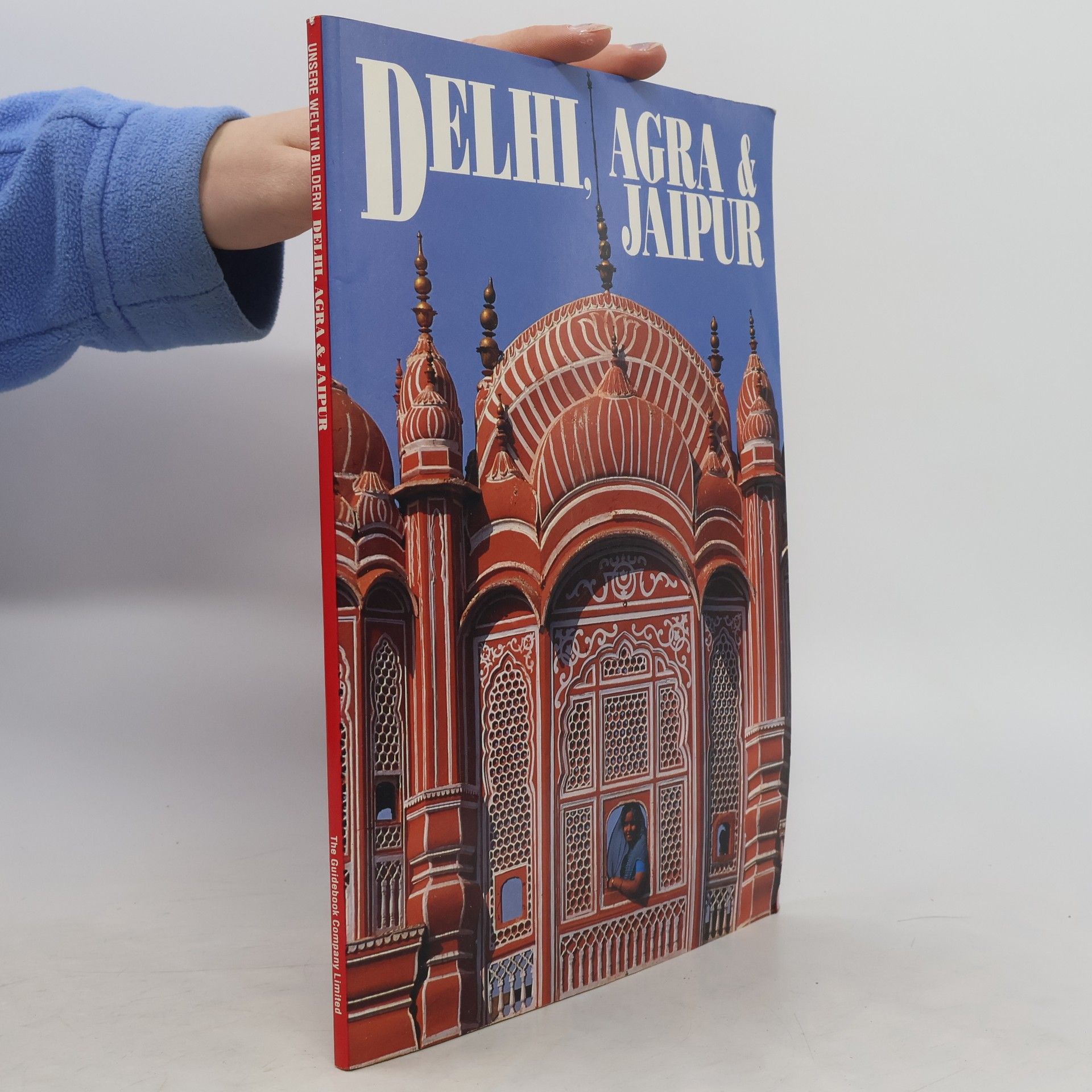 Autorenkollektiv Delhi, Agra & Jaipur