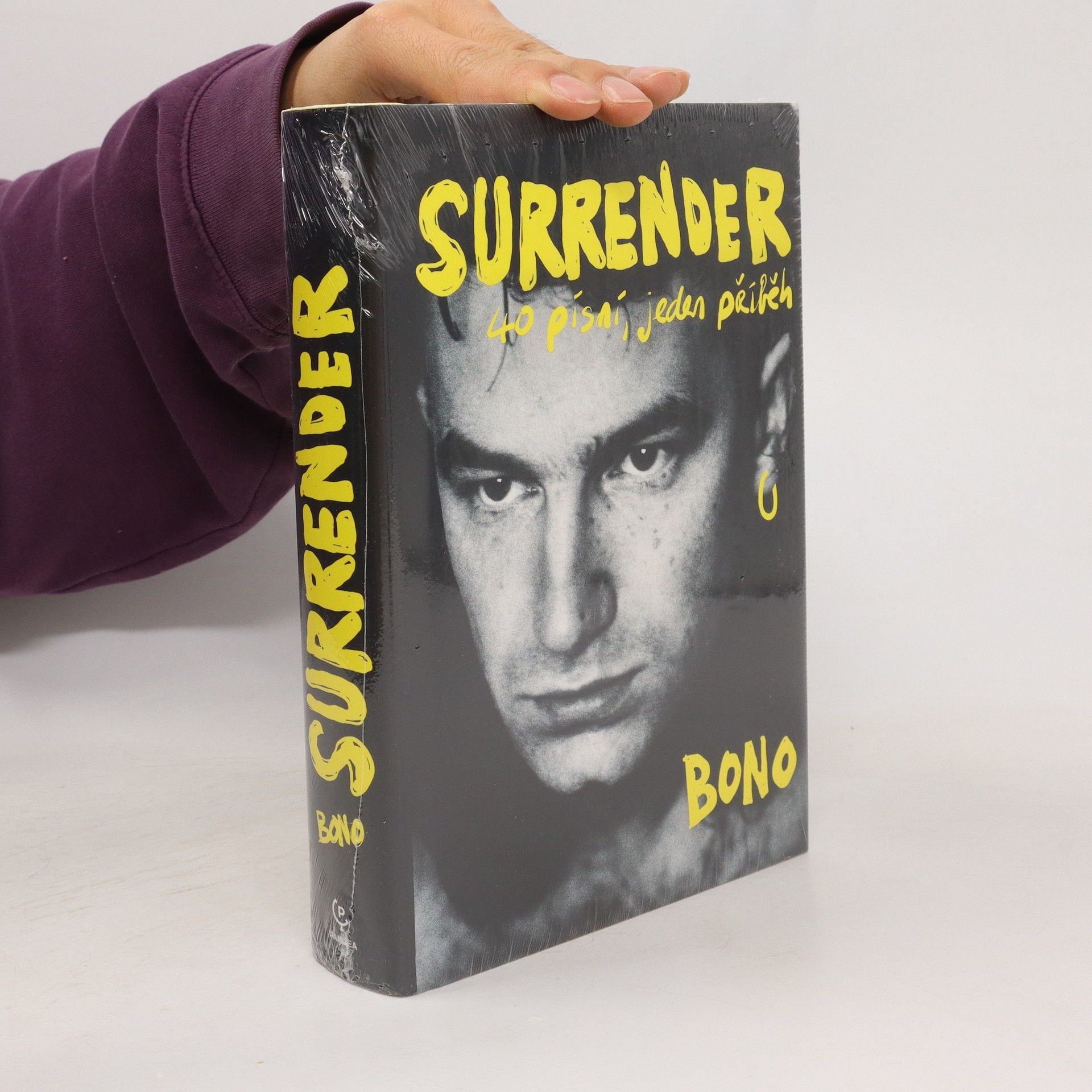 Surrender : 40 písní, jeden příběh