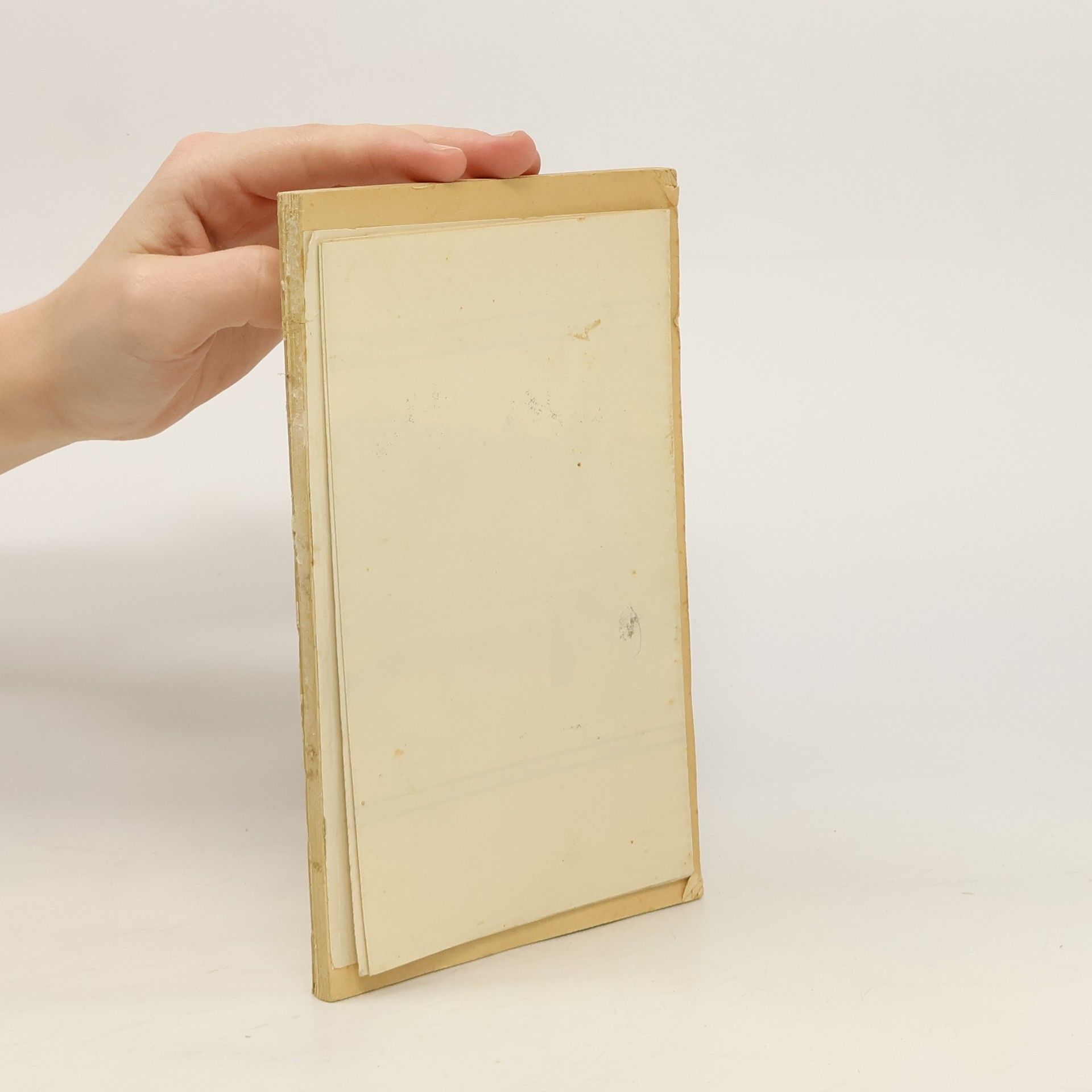 Georg Roggenhofer Führer durch Füssen, Hohenschwangau, Neuschwanstein, Linderhof, Reutte, Plansee und Umgegend