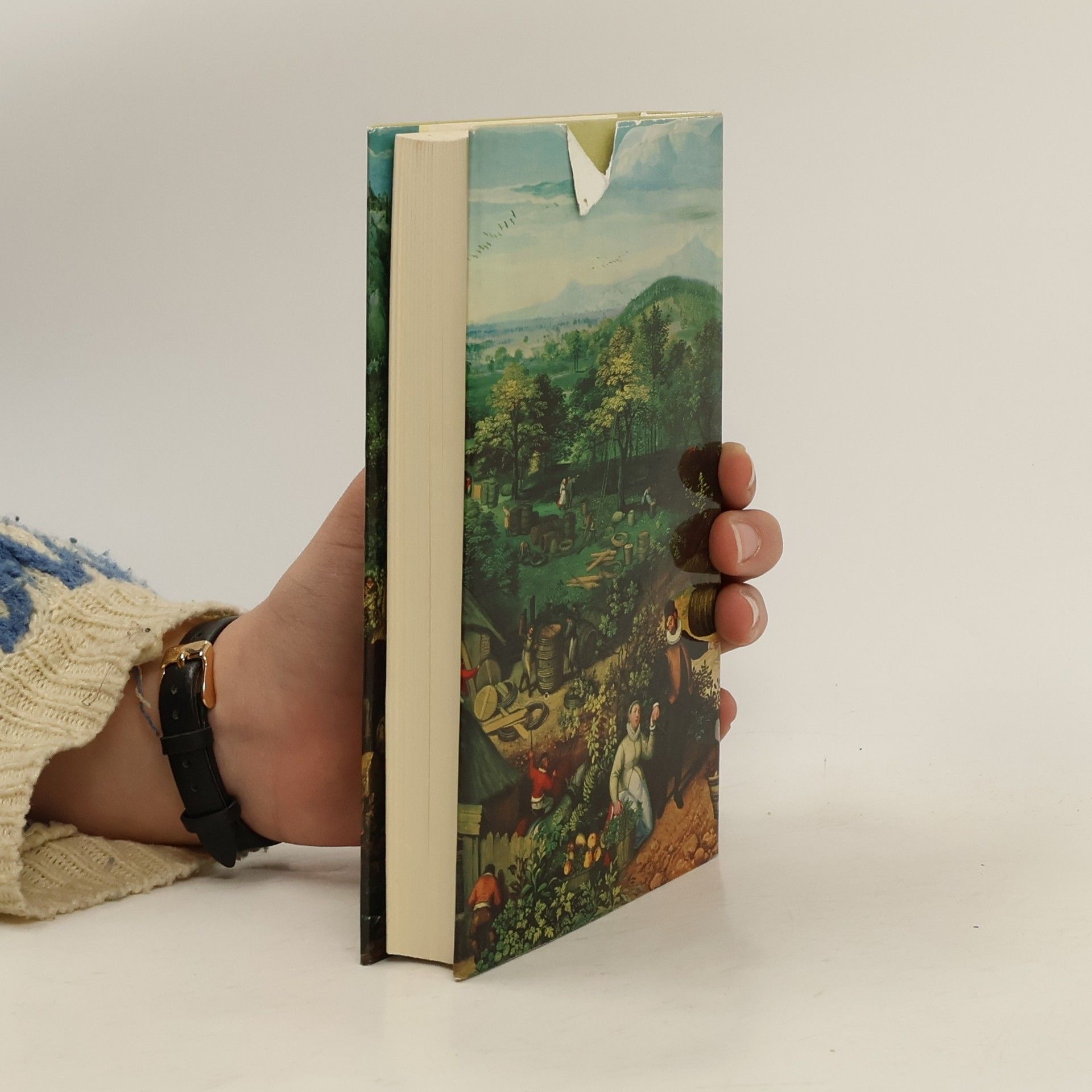 kolektiv Wein-Lese-Buch