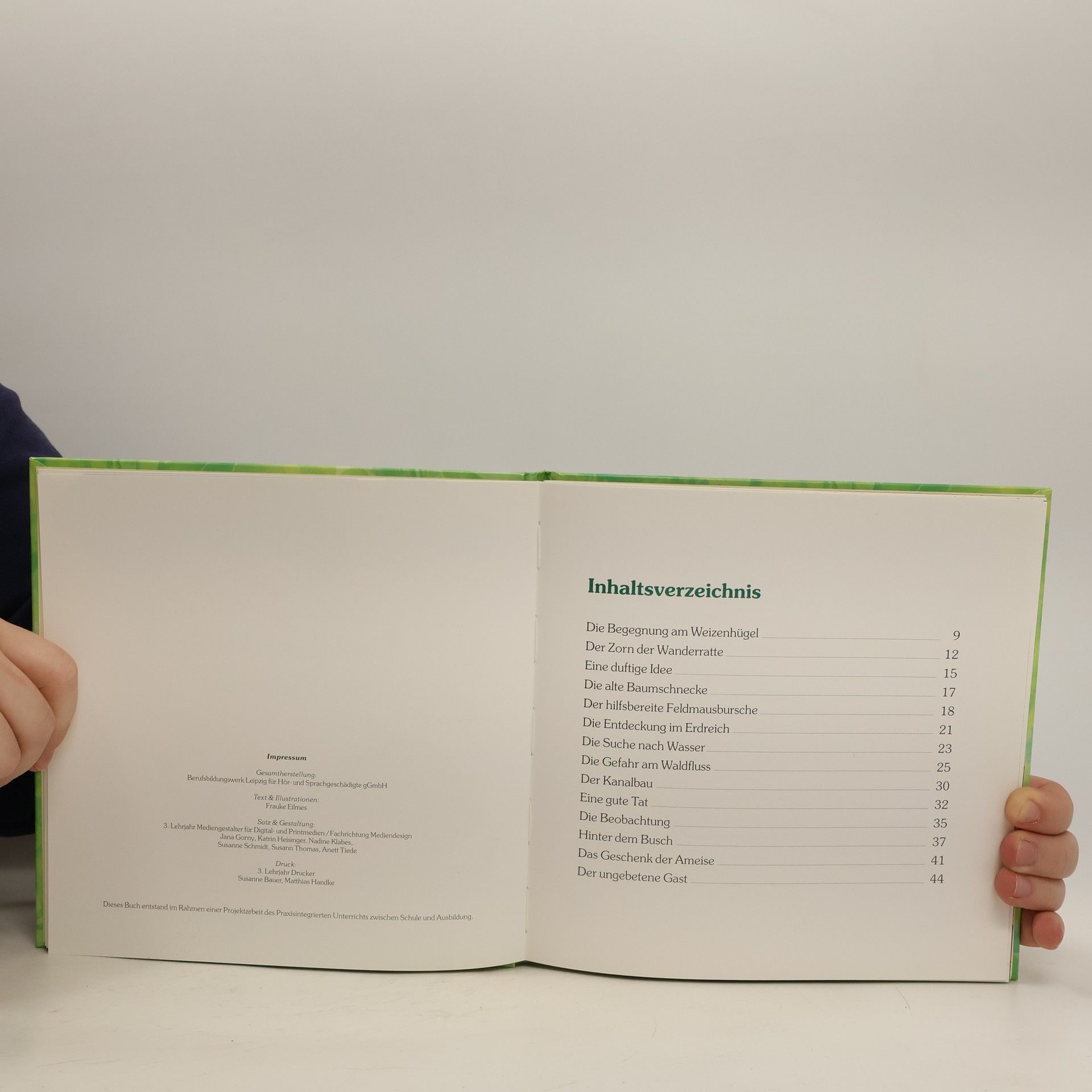 Frauke Eilmes Das Geschenk der Ameise