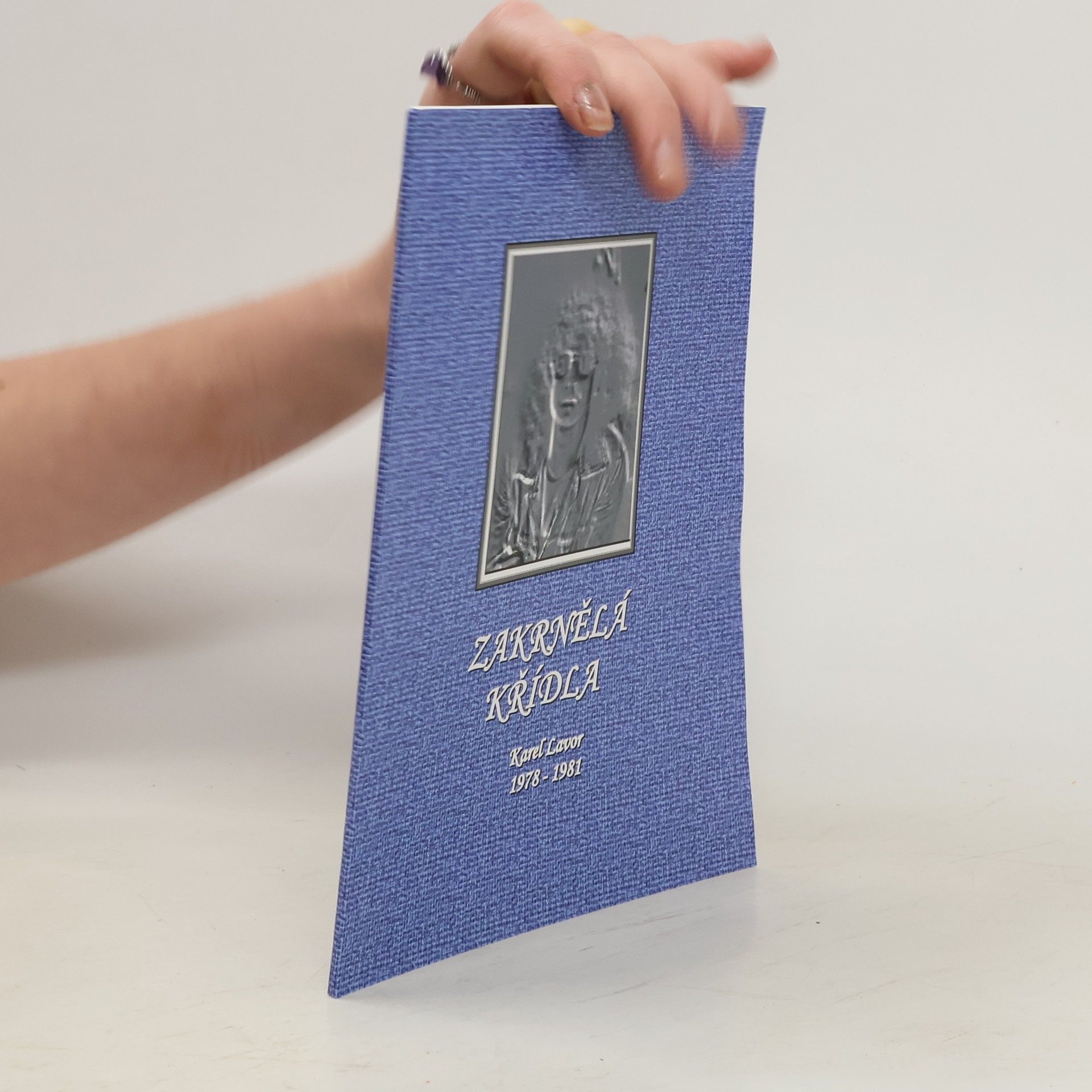 Karel Lavor Zakrnělá křídla 1978-1981