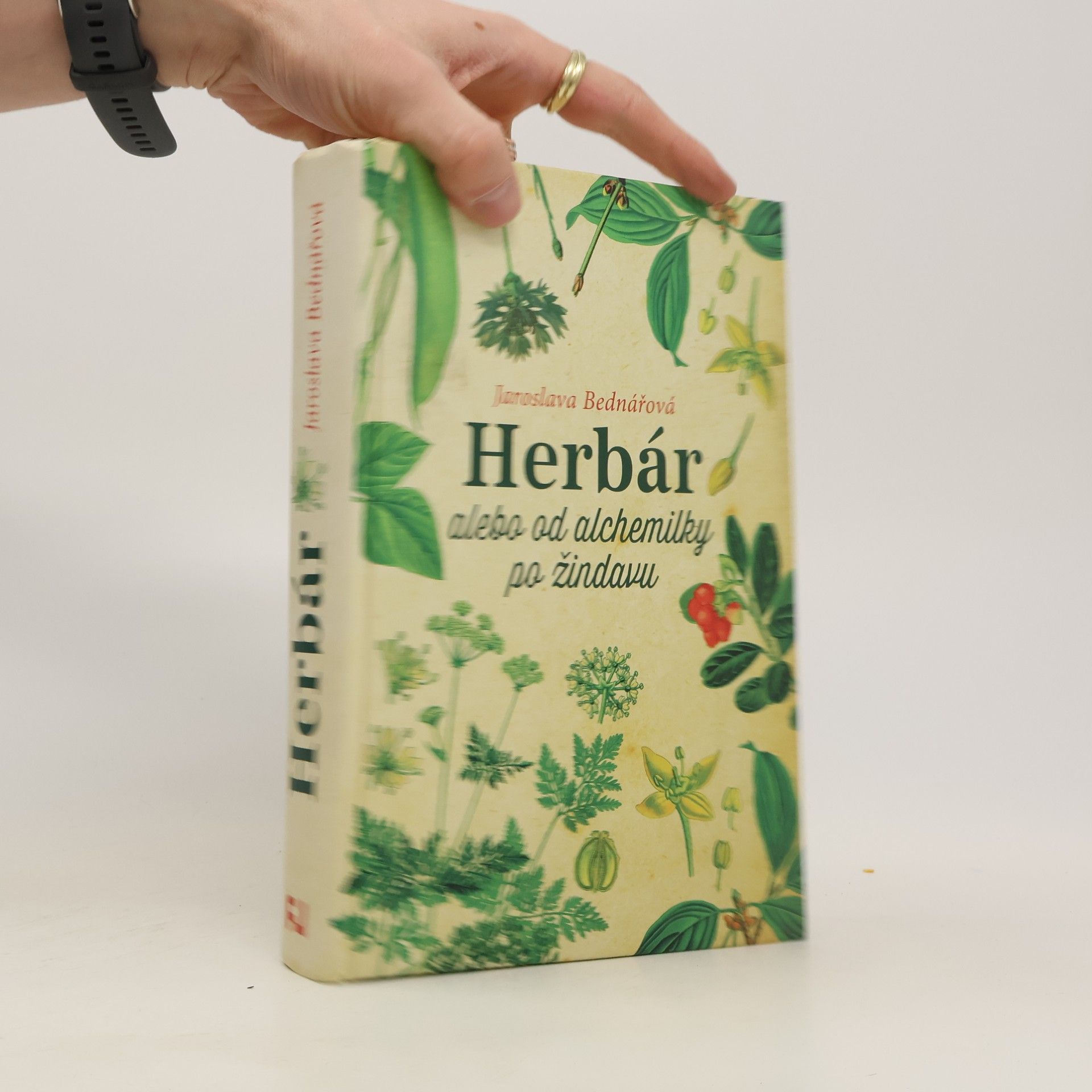 Jaroslava Bednářová Herbár alebo od alchemilky po žindavu