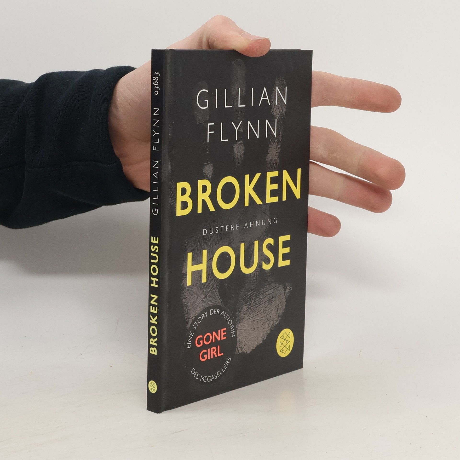 Gillian Flynn Broken House