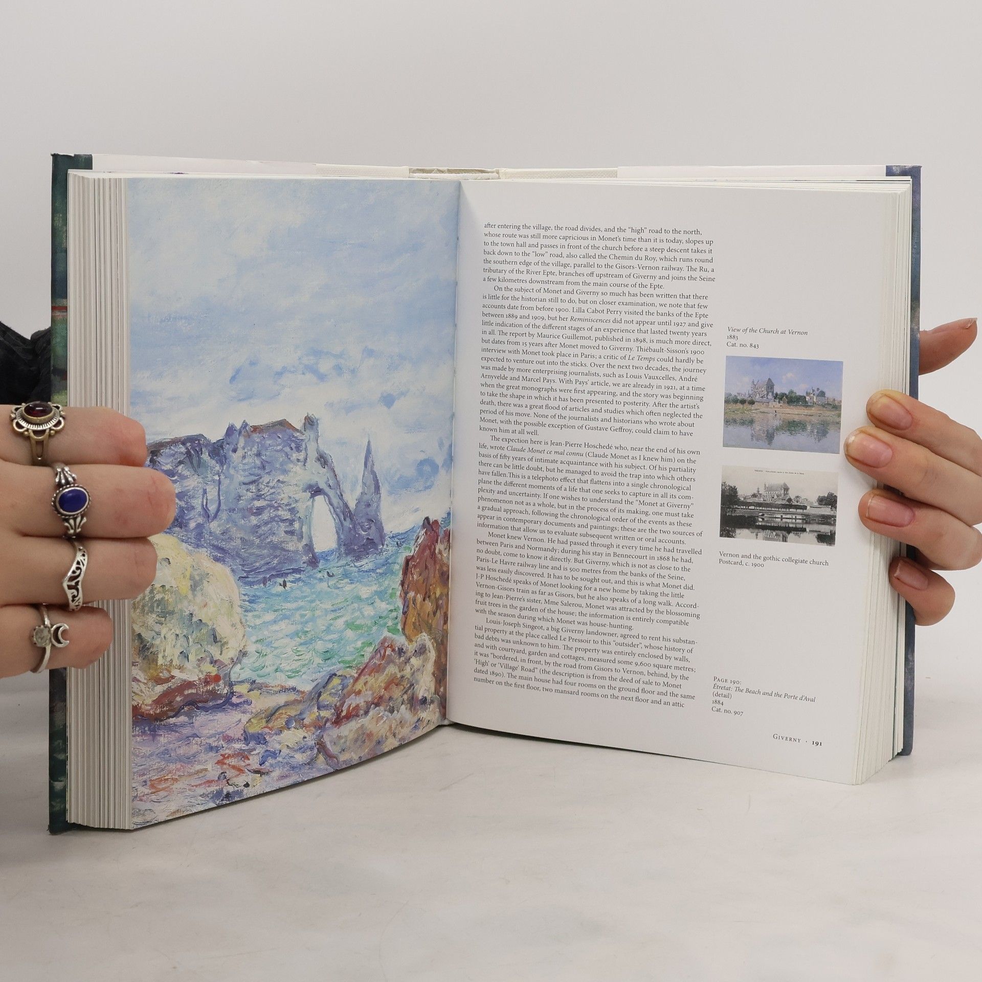 Daniel Wildenstein Monet : the triumph of impressionism