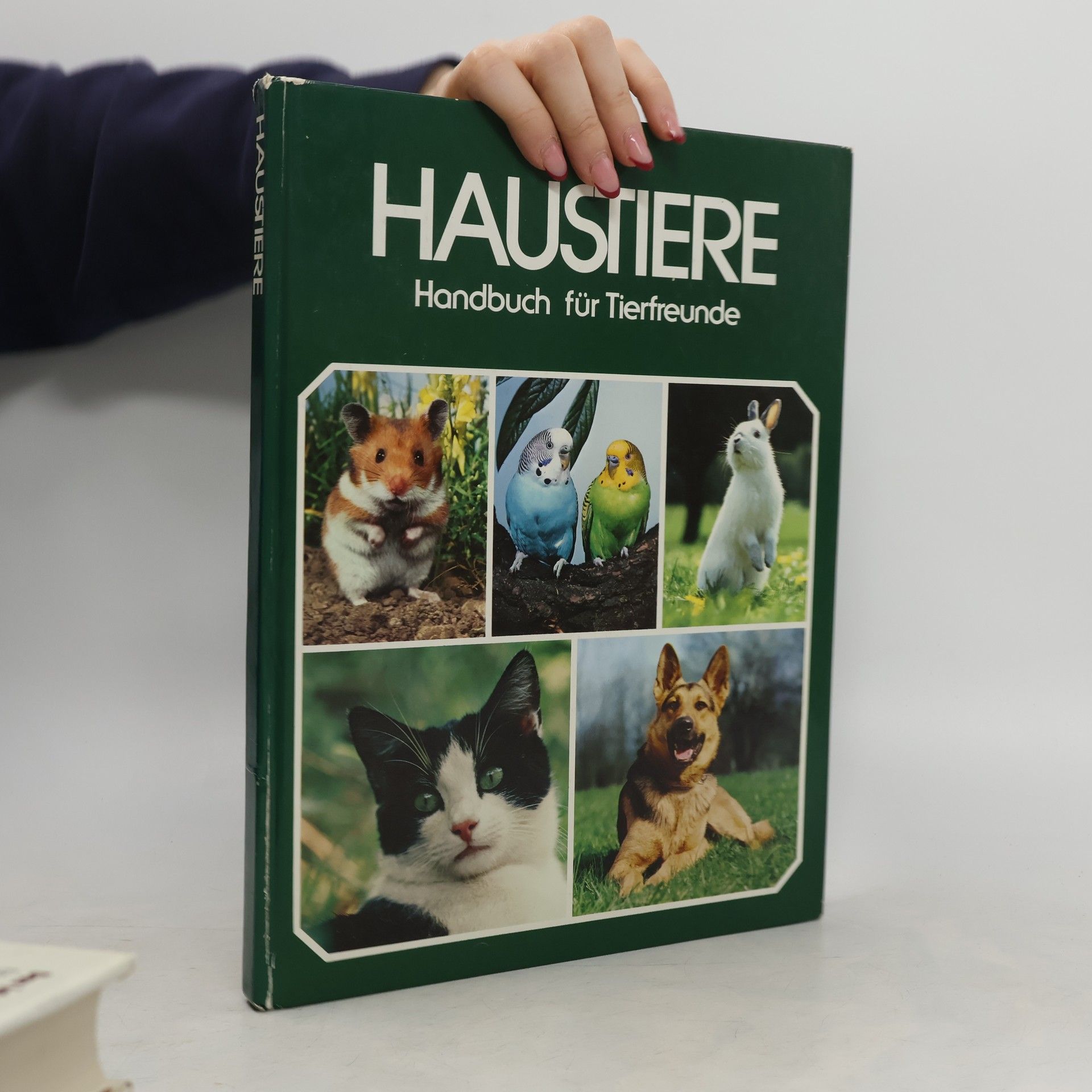 Autorenkollektiv Haustiere. Handbuch für Tierfreunde
