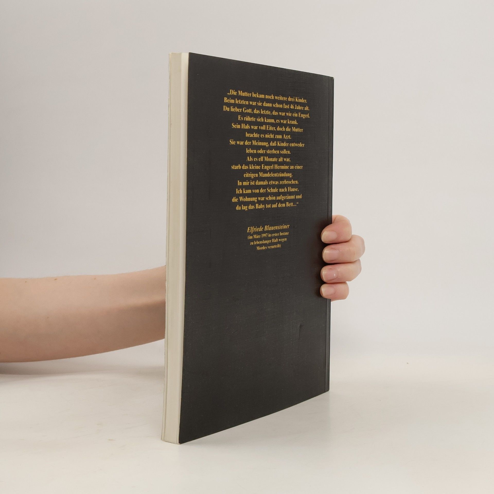 Elfriede Blauensteiner Meine Memoiren