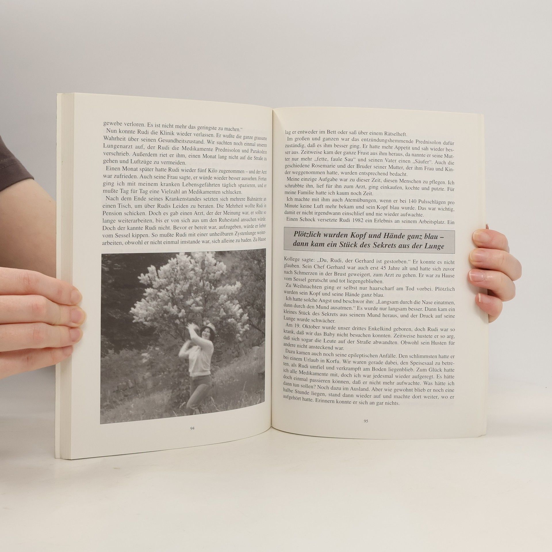 Elfriede Blauensteiner Meine Memoiren