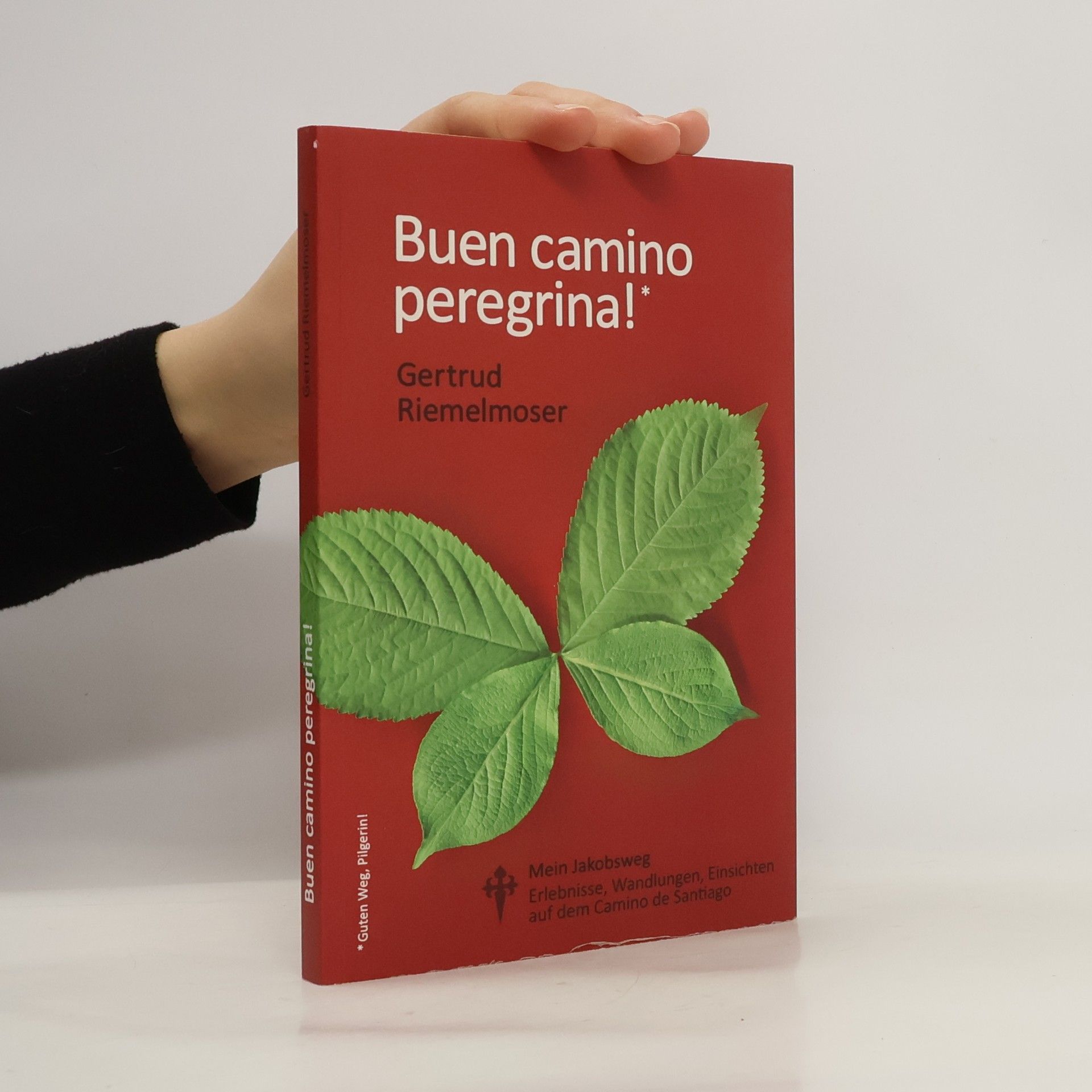 Buen camino peregrina!