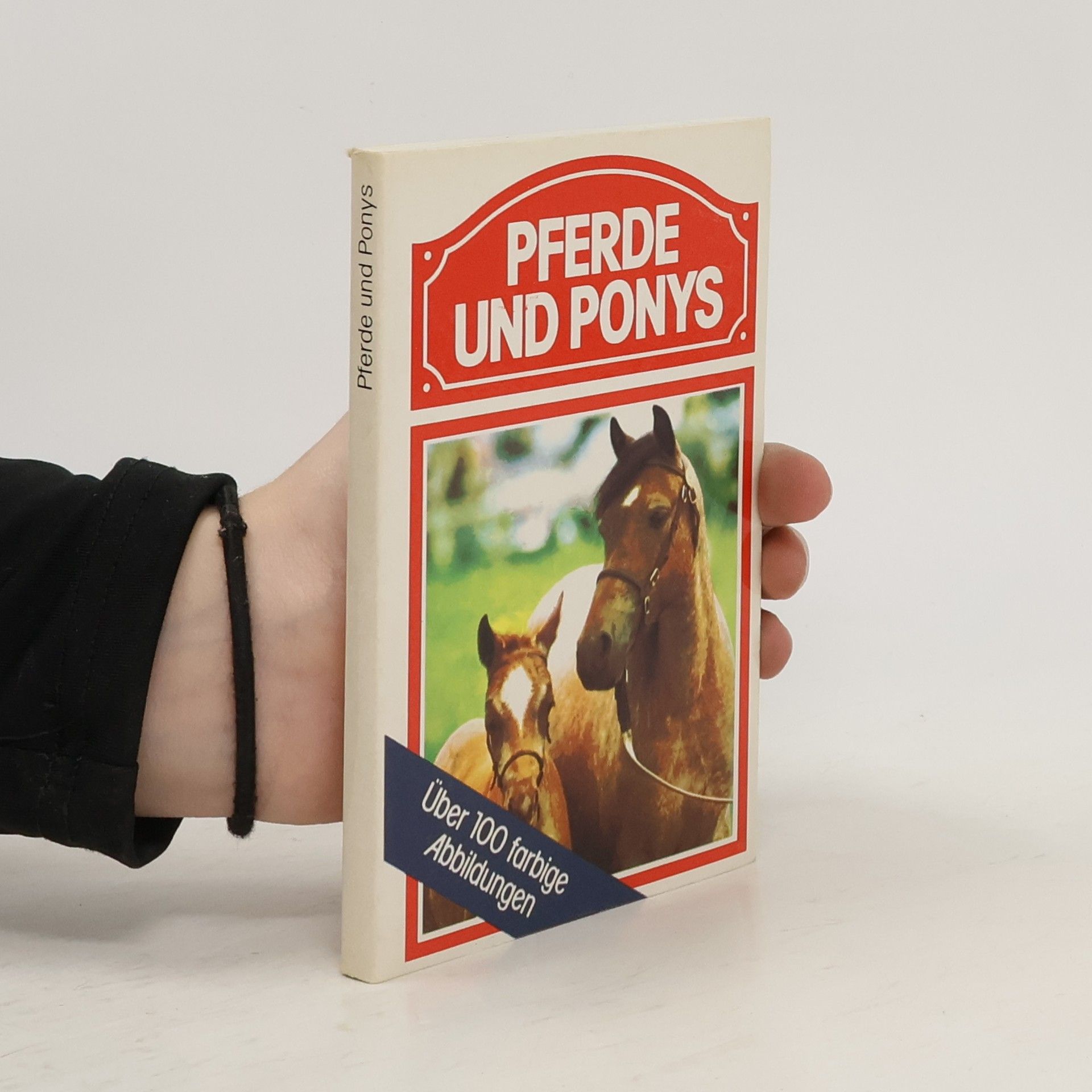 Autorenkollektiv Pferde und Ponys