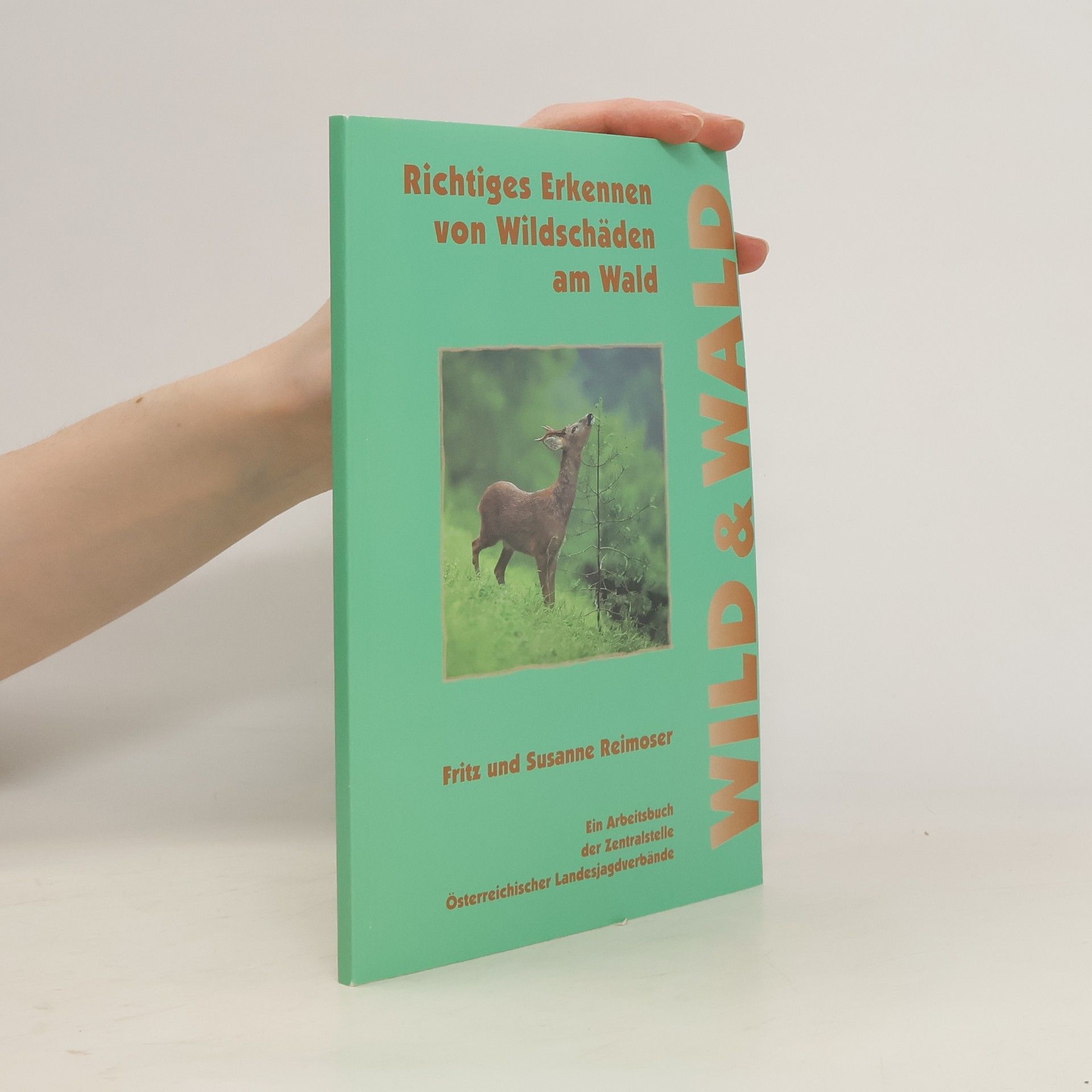 Richtiges Erkennen von Wildschäden am Wald