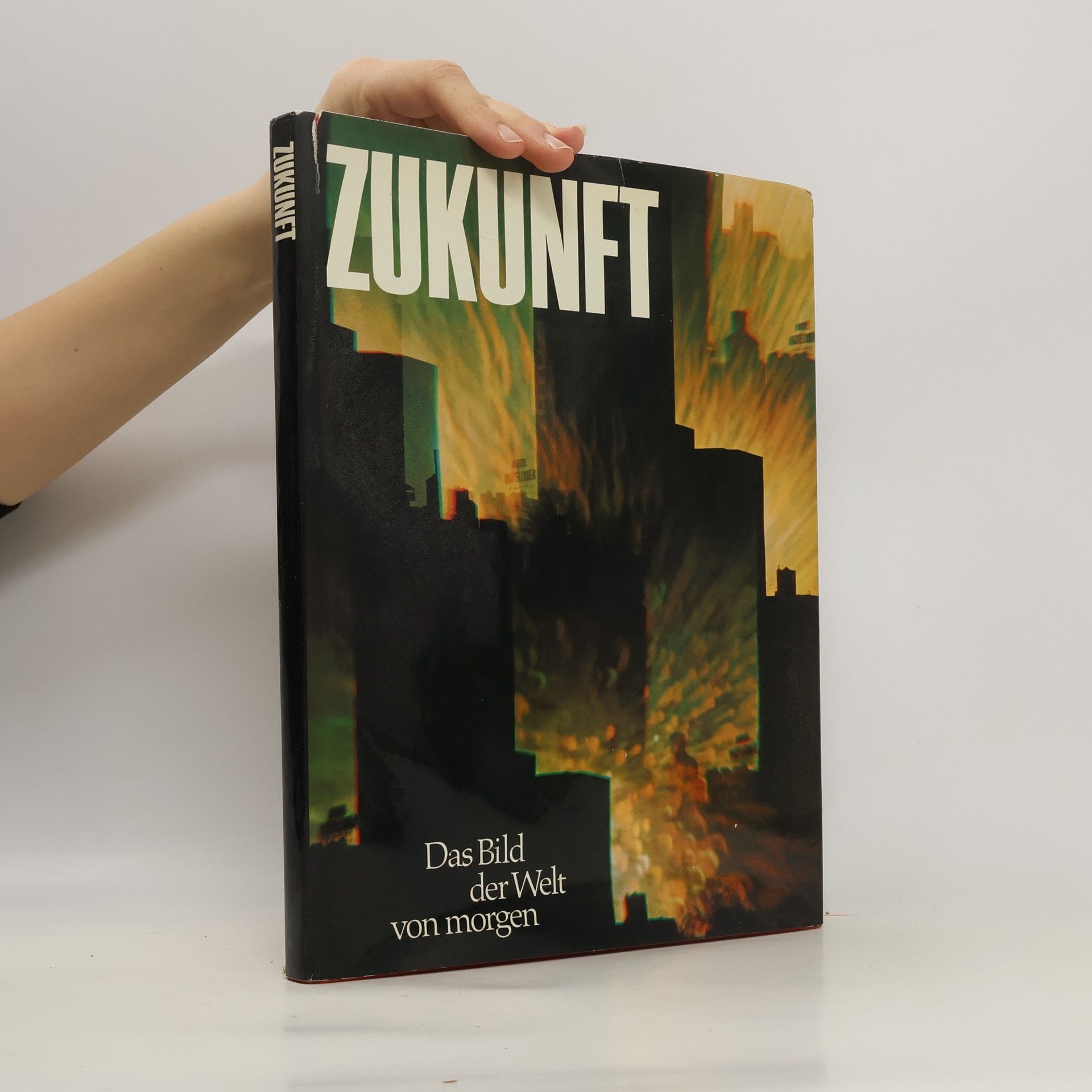 Ulrich Schippke Zukunft. Das Bild der Welt von morgen