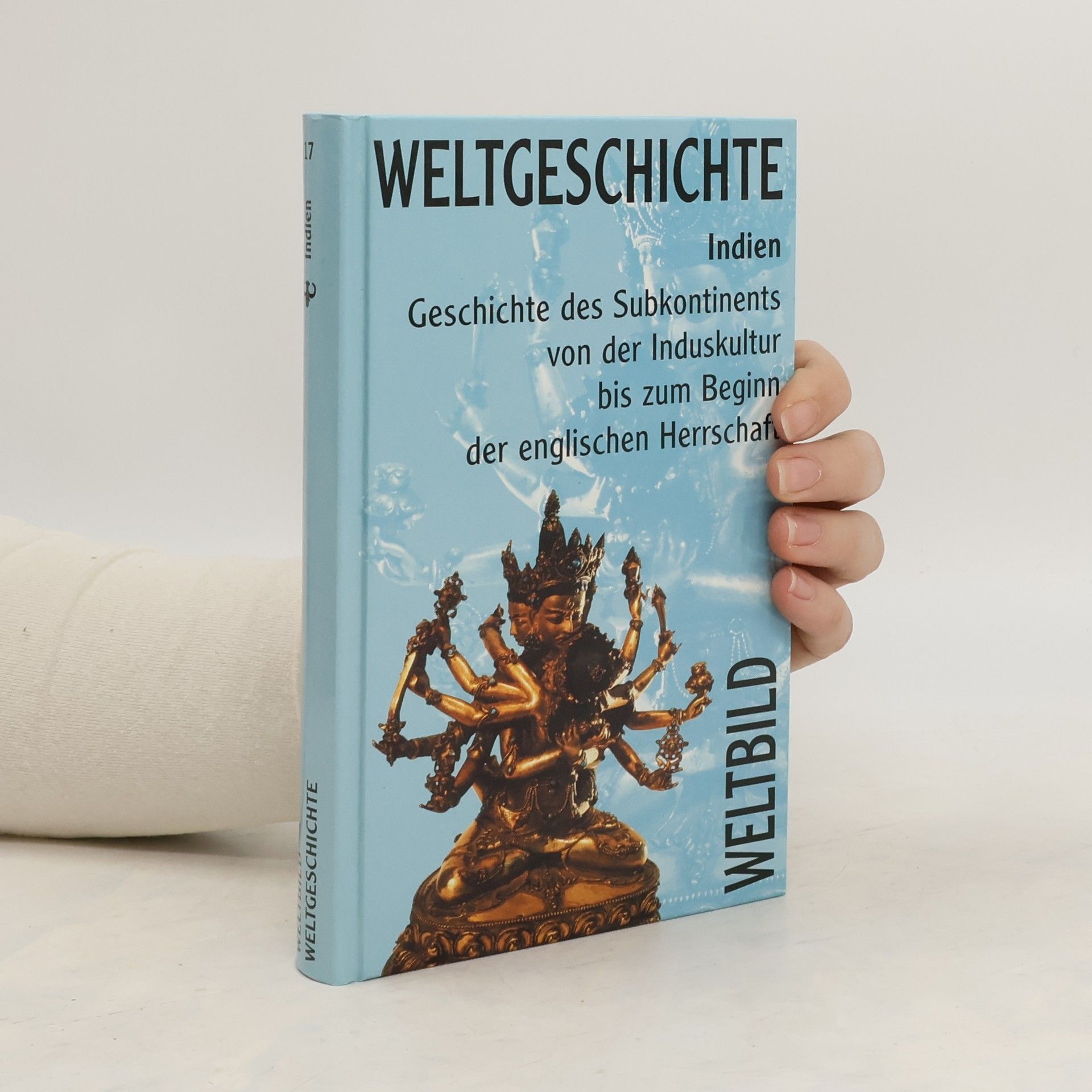 Kolektiv autorů Weltgeschichte 17. Indien
