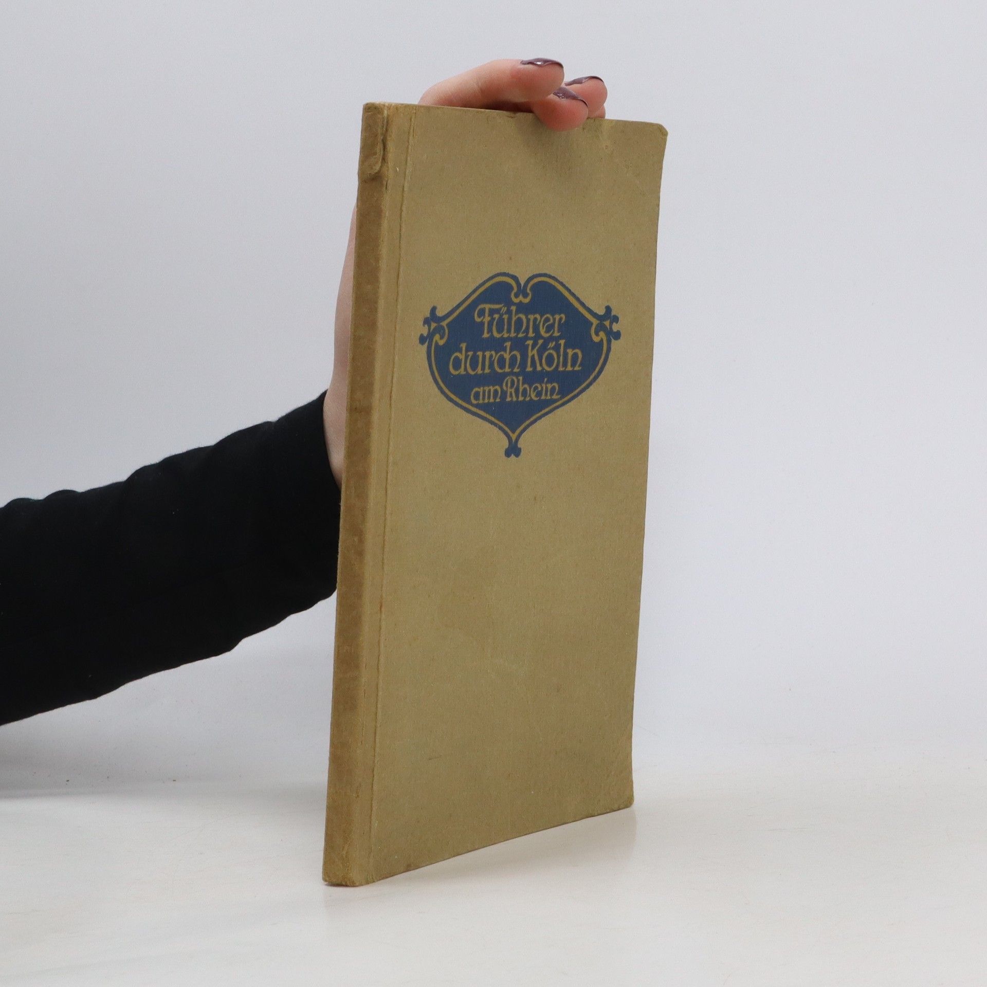 Auteurscollectief Führer durch Köln am Rhein