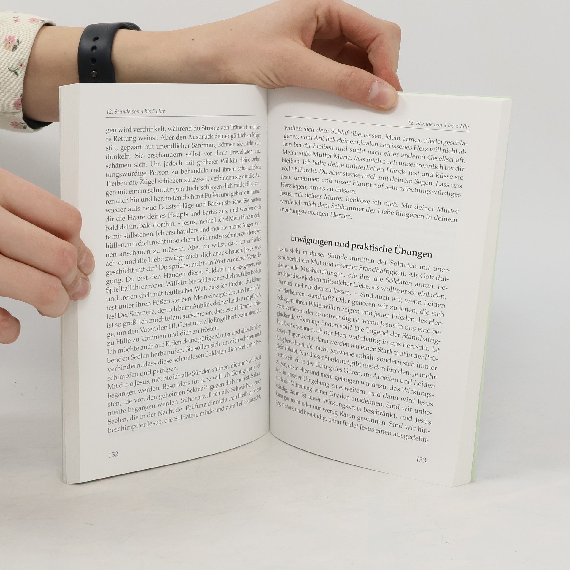 Autorenkollektiv Das Reich des Göttlichen Willens II.