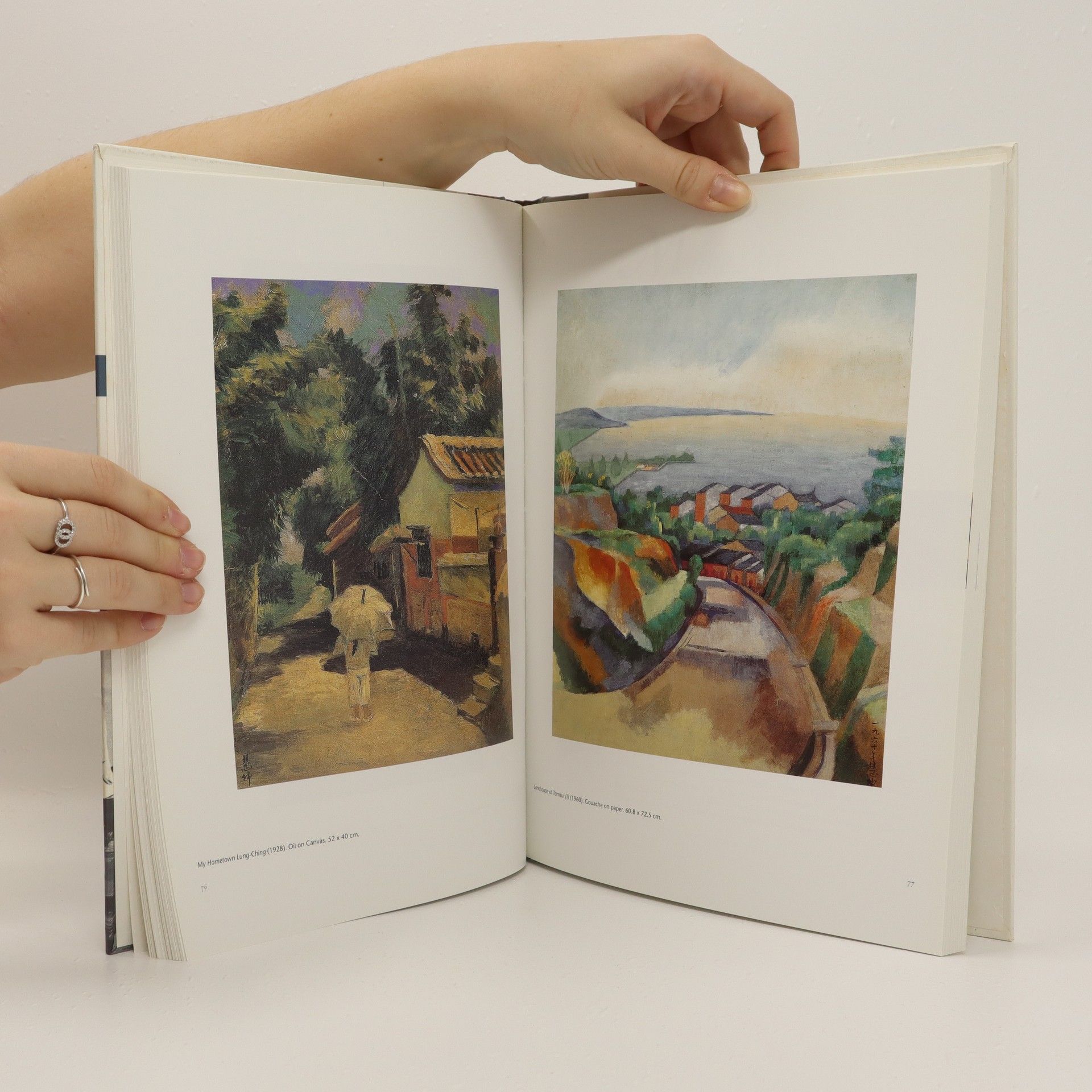 Autorenkollektiv Impressions of beauty : contemporary painters of Taiwan