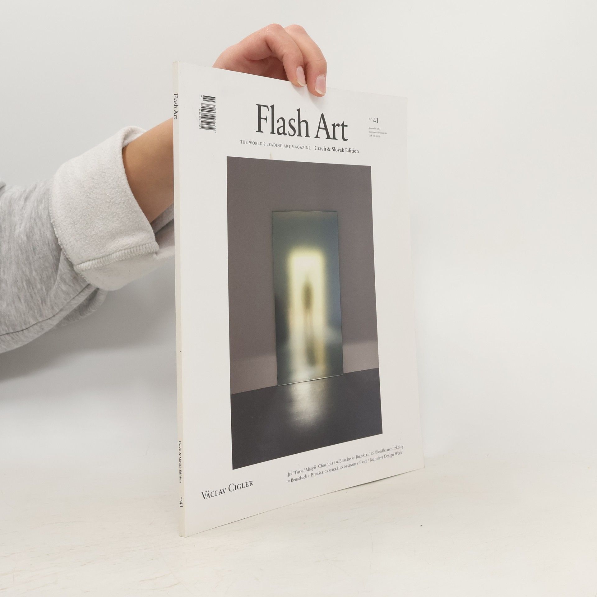 Kolektív autorov Flash Art 41