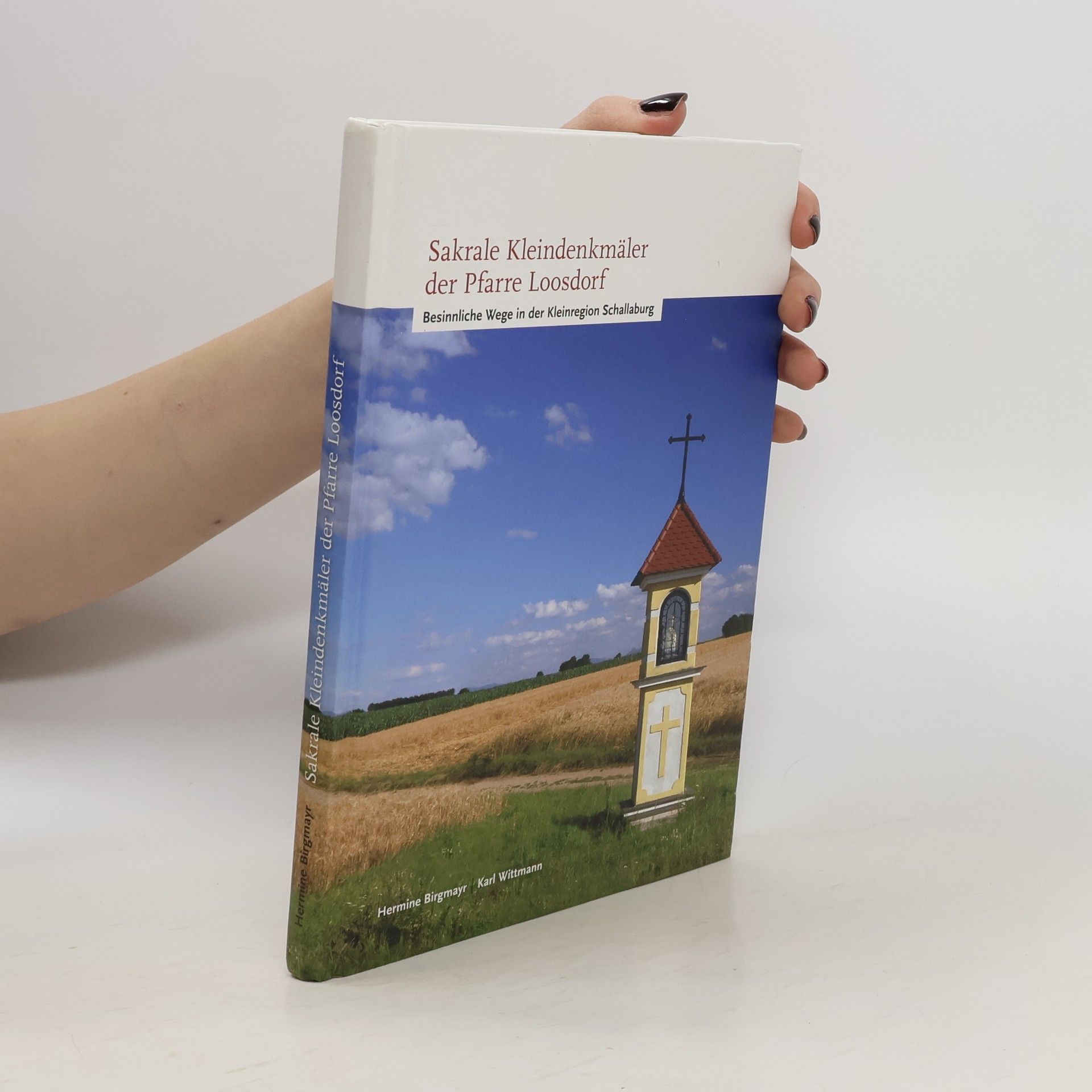 Auteurscollectief Sakrale Kleindenkmäler der Pfarre Loosdorf