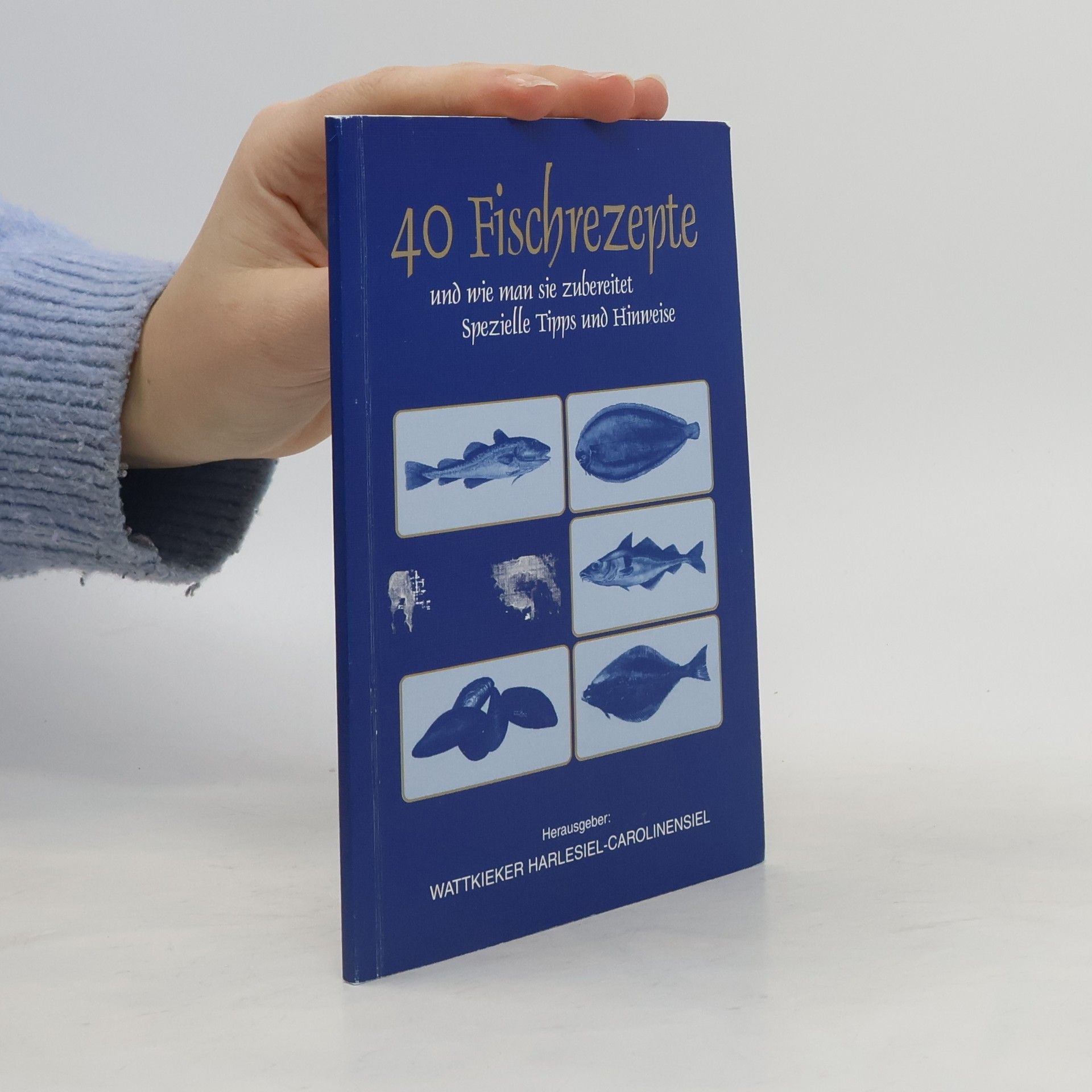 Autorenkollektiv 40 Fischrezepte