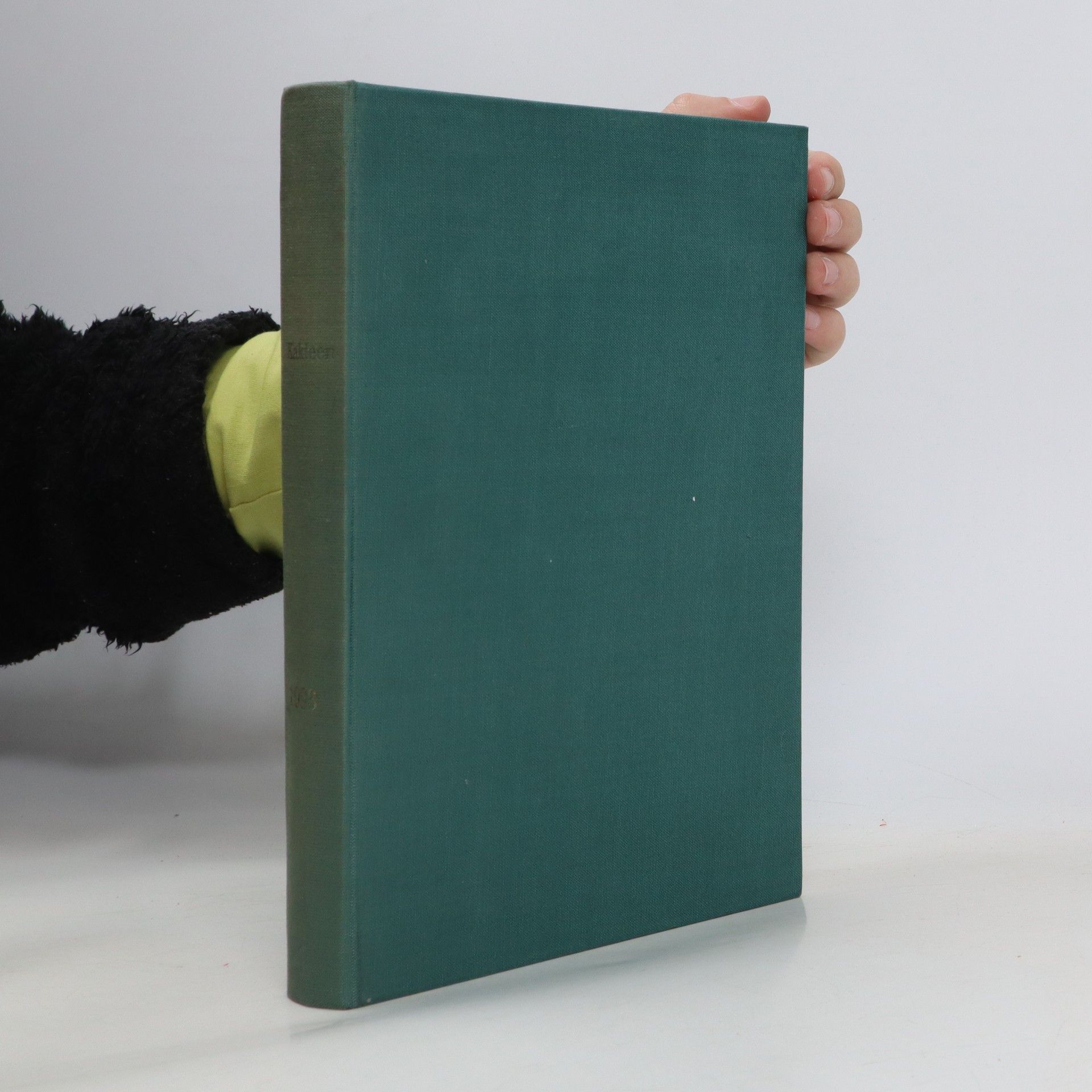 Autorenkollektiv Kakteen und andere Sukkulenten