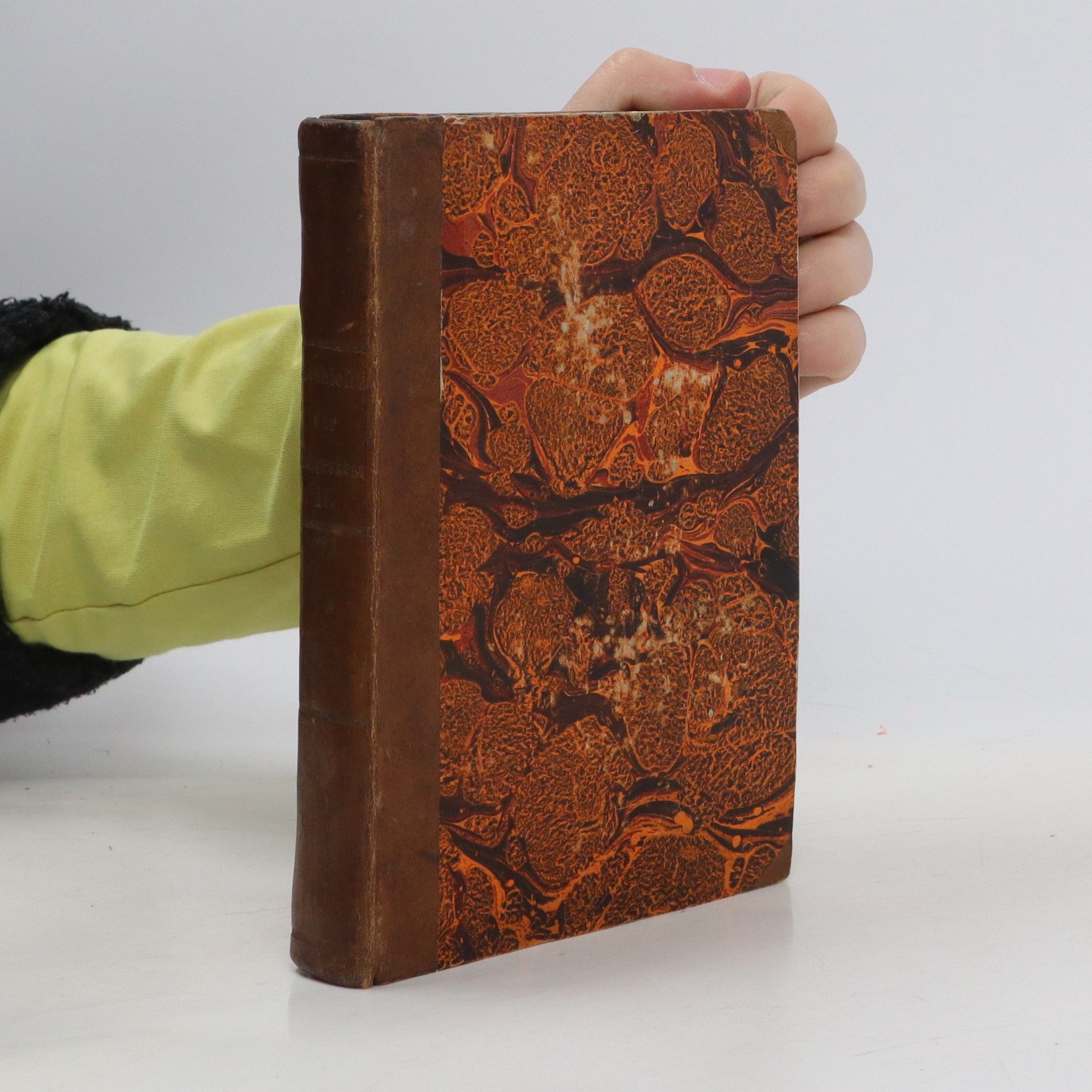 M. A. Hugues Triumph der heiligen Kirche