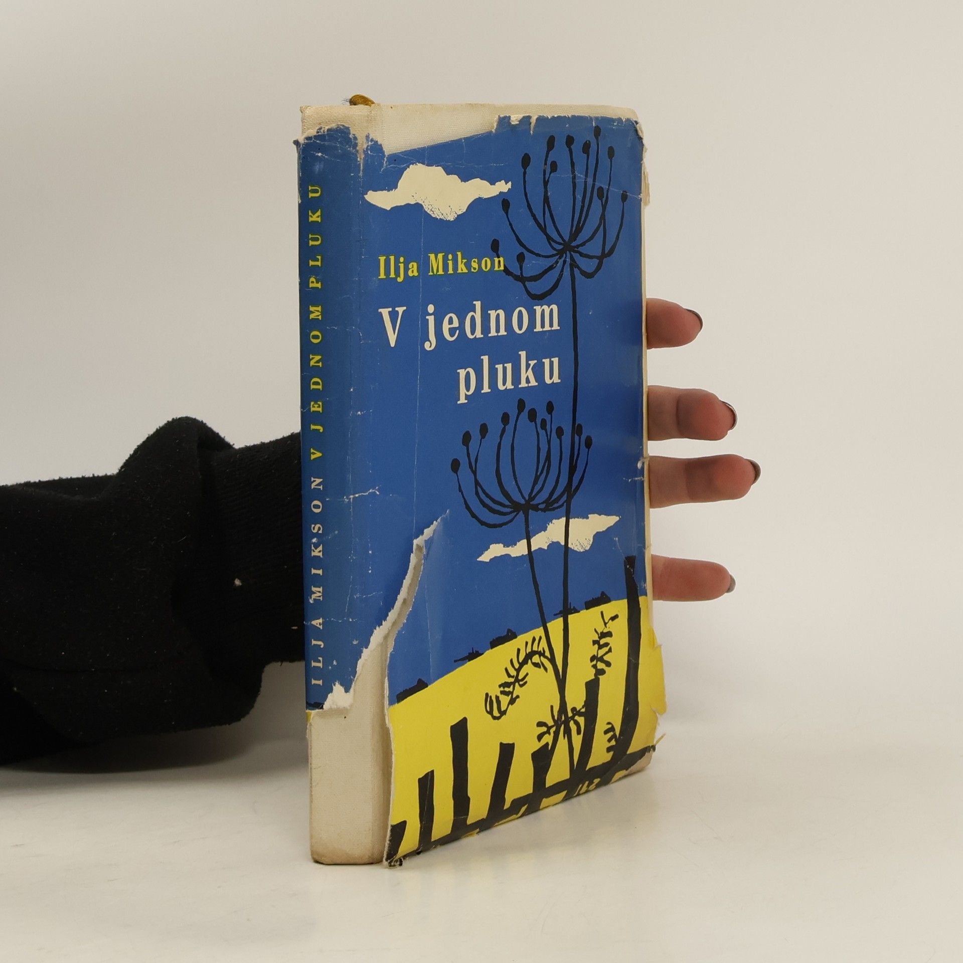 Ilja Mikson V jednom pluku