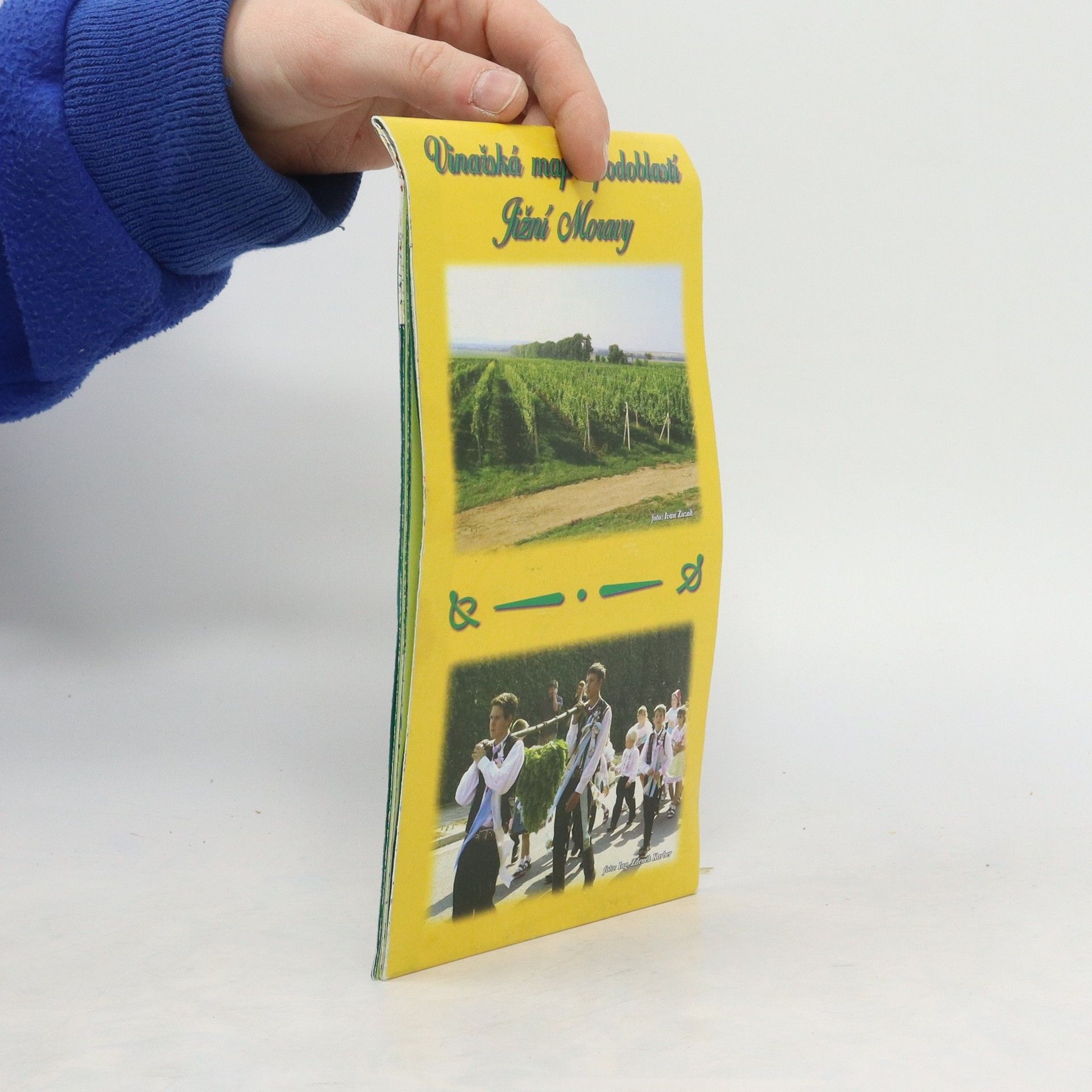 AA.VV. Vinařská mapa podoblastí Jižní Moravy