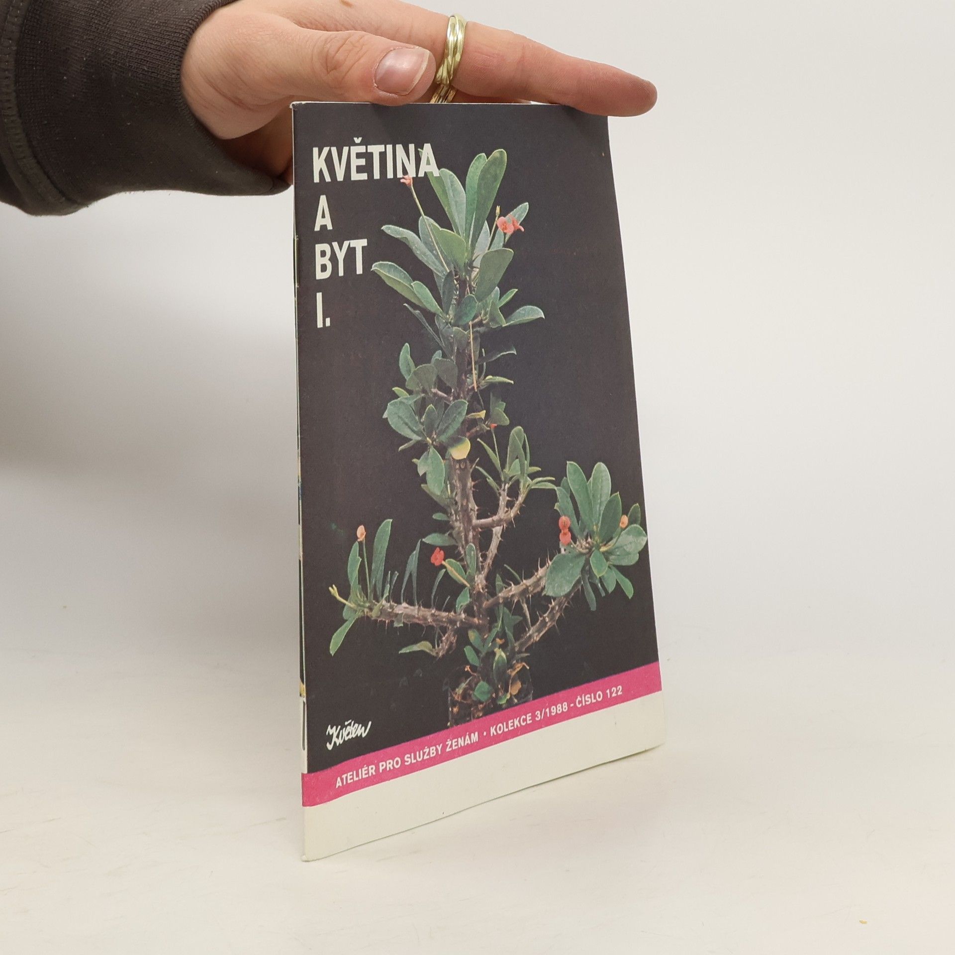 Auteurscollectief Květina a byt I.