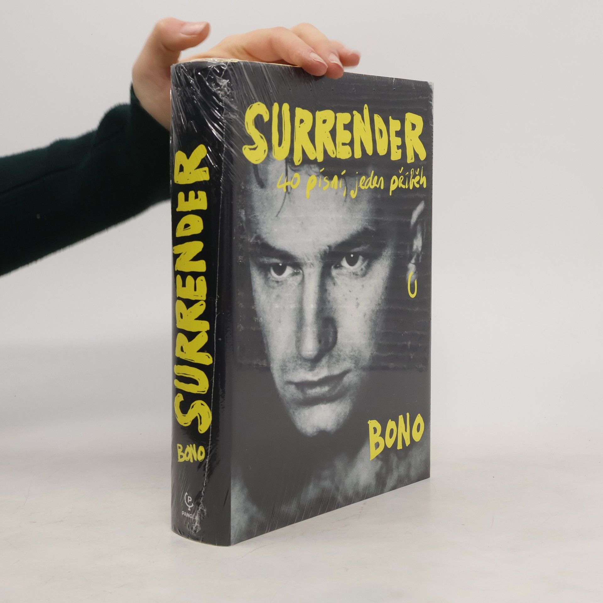 Surrender : 40 písní, jeden příběh