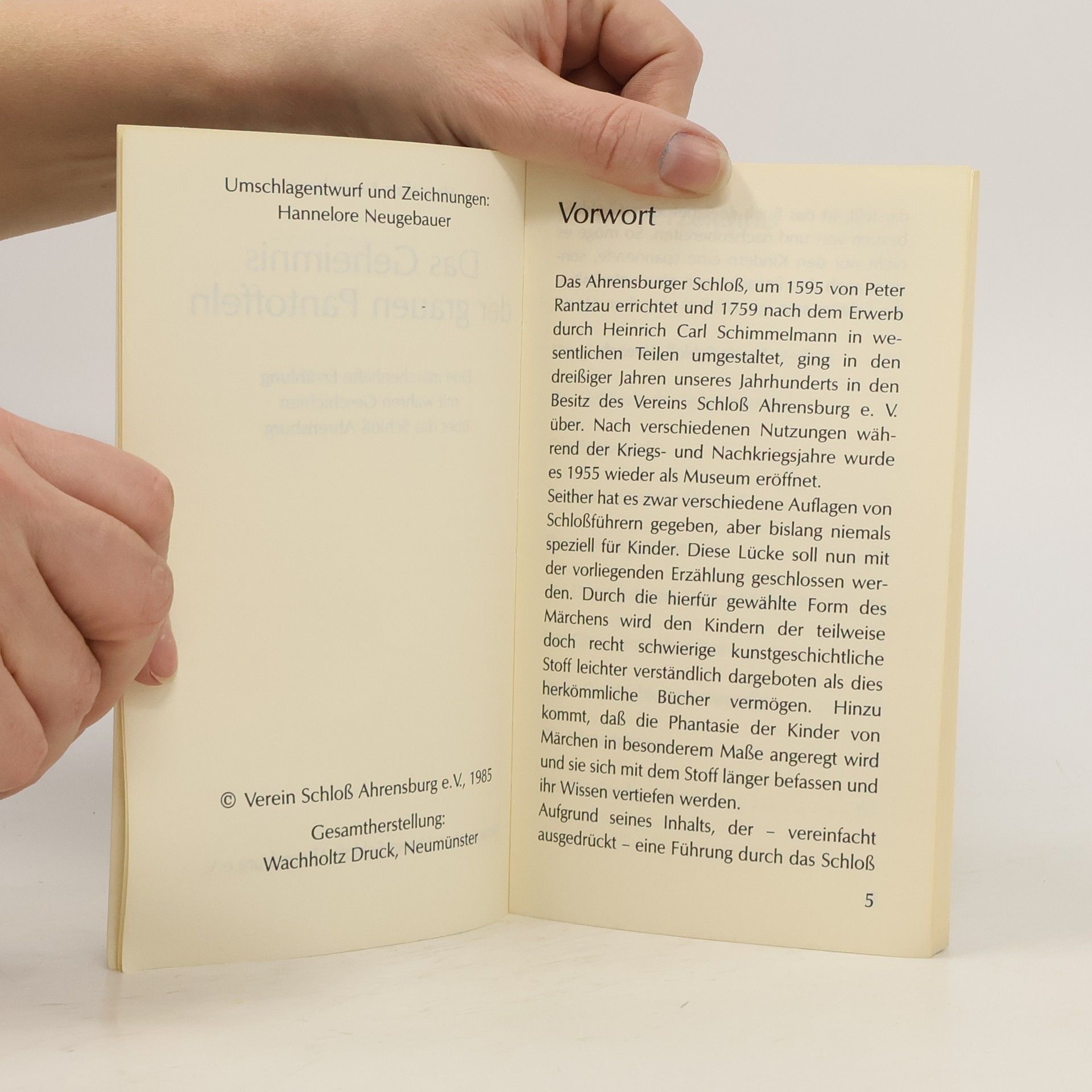 Hannelore Neugebauer Das Geheimnis der grauen Pantoffeln