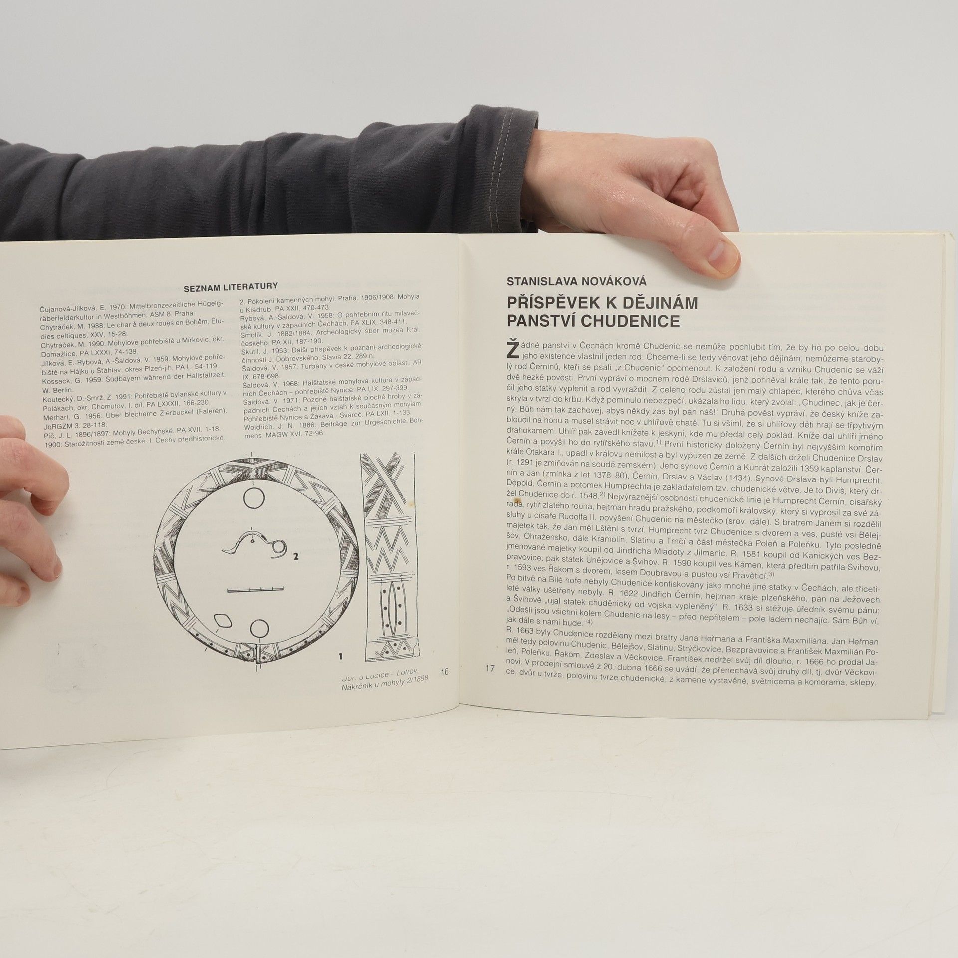 Autorenkollektiv Chudenice: archeologie, dějiny, součastnost