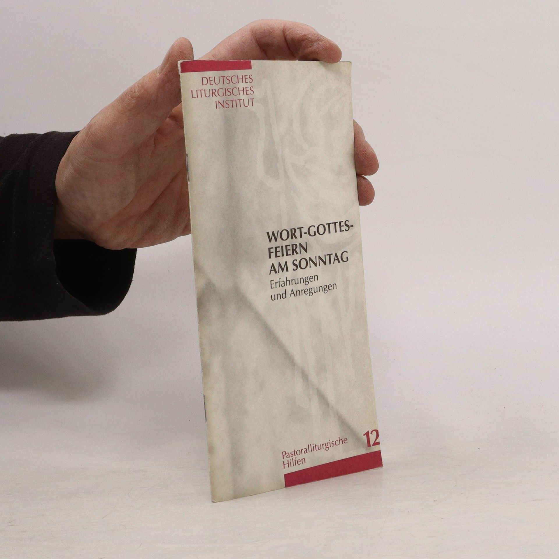 Collectif d'auteurs Die Wort-Gottes-Feier am Sonntag 12