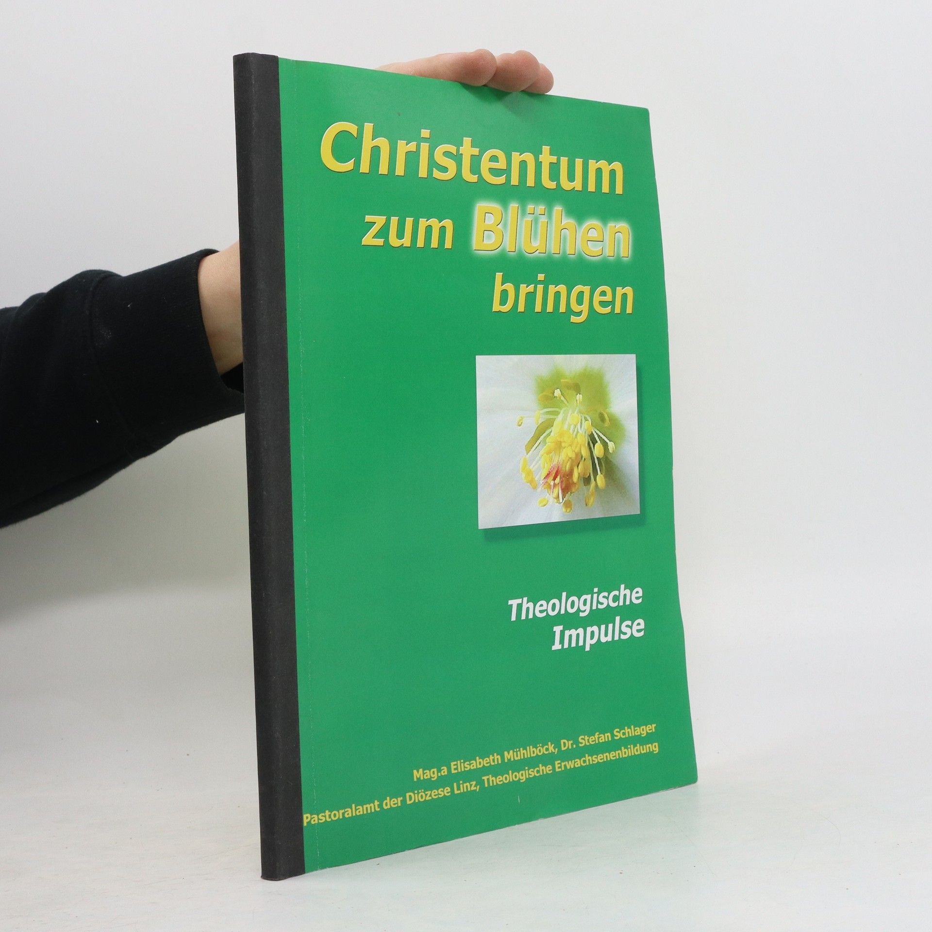Autorenkollektiv Christentum zum Blühen bringen 3