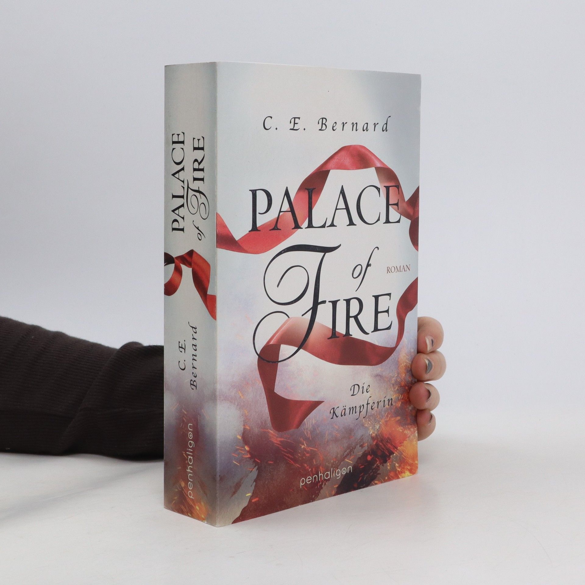 C. E. Bernard Palace of fire - die Kämpferin