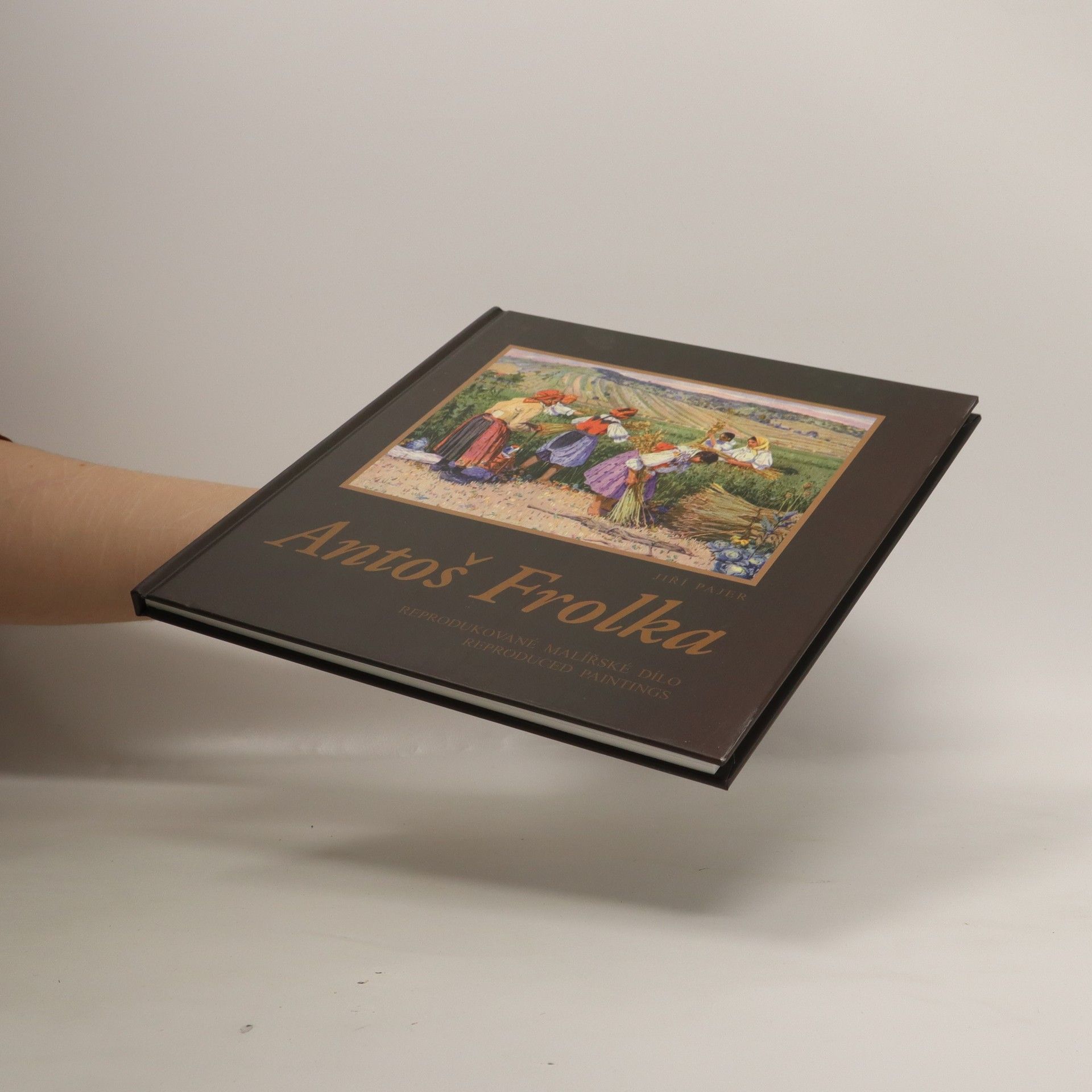 Antoš Frolka Antoš Frolka: Reprodukované malířské dílo (reproduced paintings)