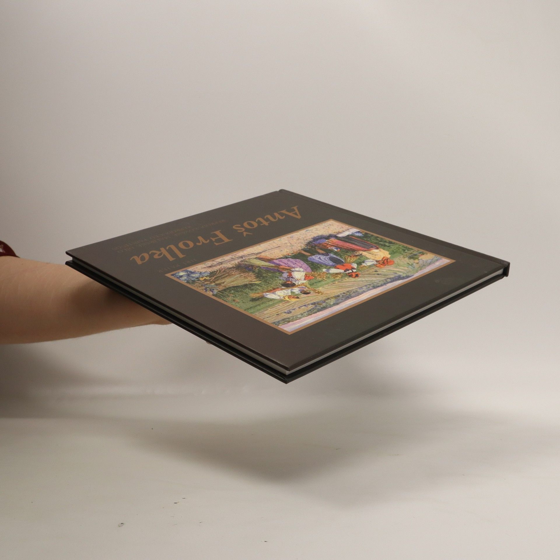 Antoš Frolka Antoš Frolka: Reprodukované malířské dílo (reproduced paintings)