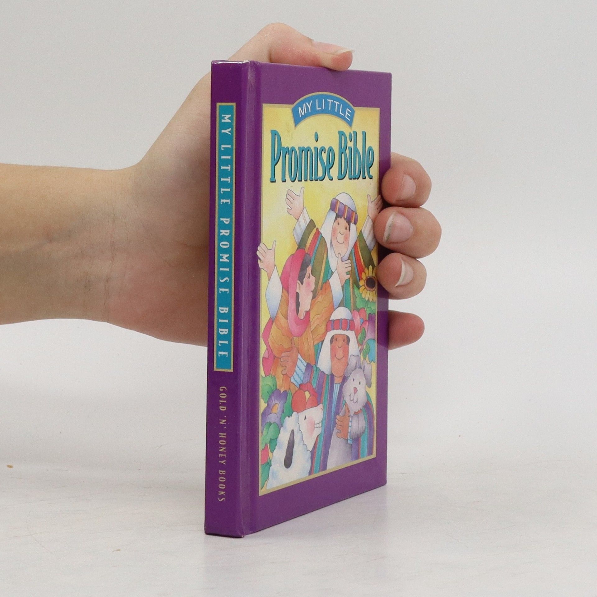 Collectif d'auteurs My Little Promise Bible