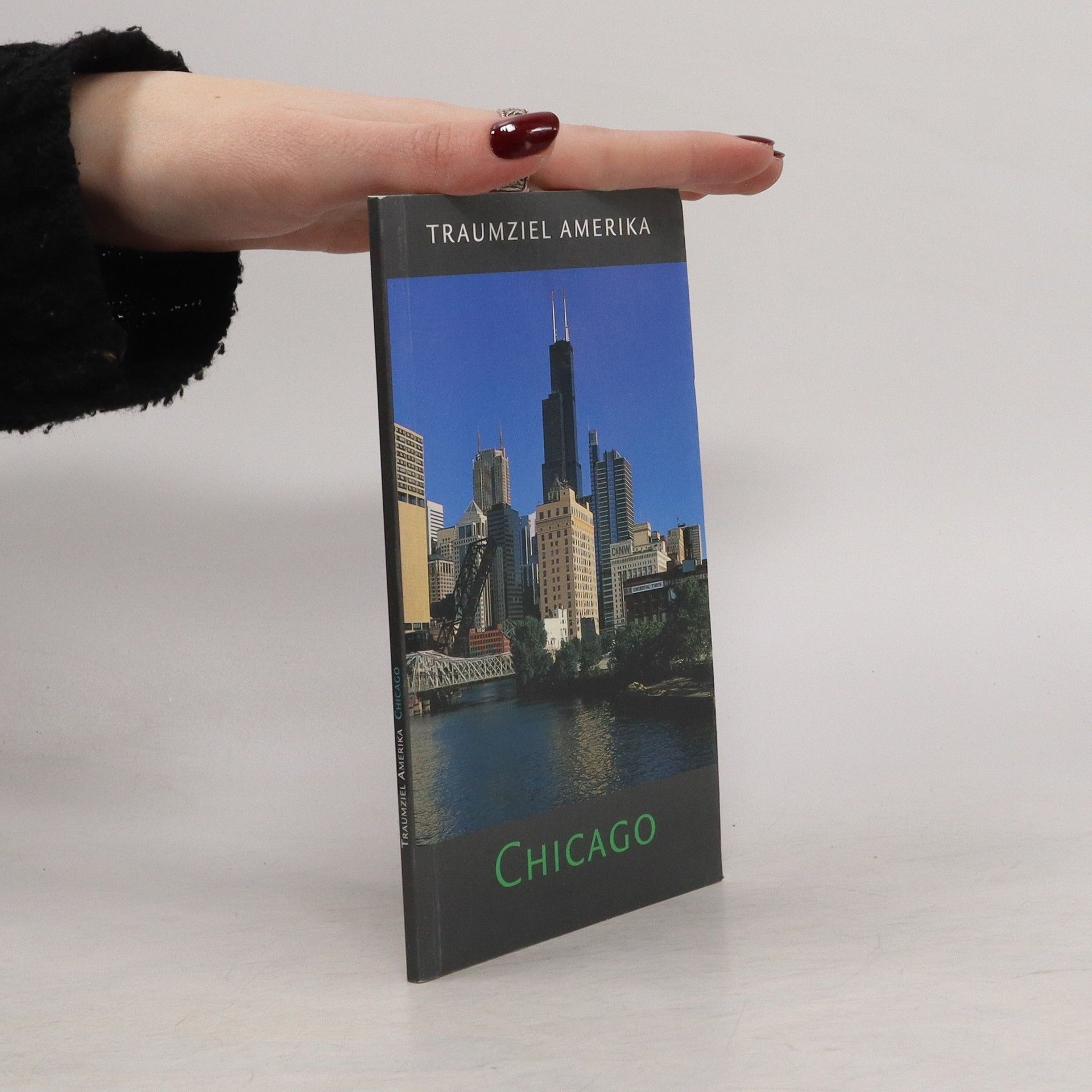 Autorenkollektiv Traumziel Amerika. Chicago