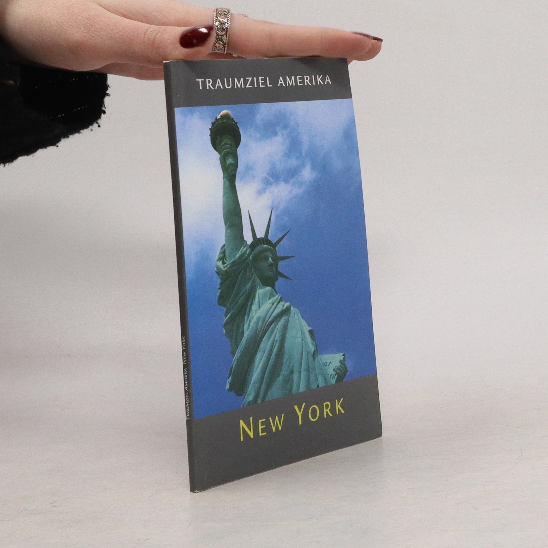 Autorenkollektiv Traumziel Amerika: New York