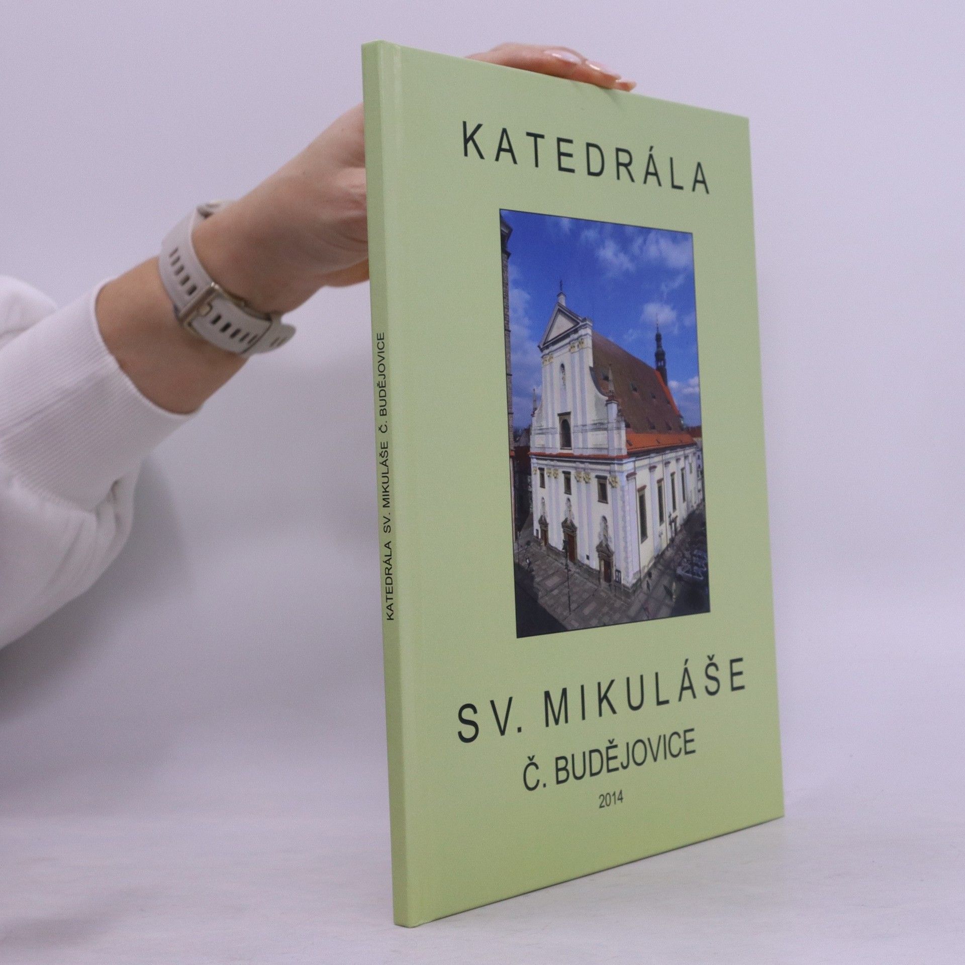 Kolektív autorov Katedrála sv. Mikuláše v Českých Budějovicích